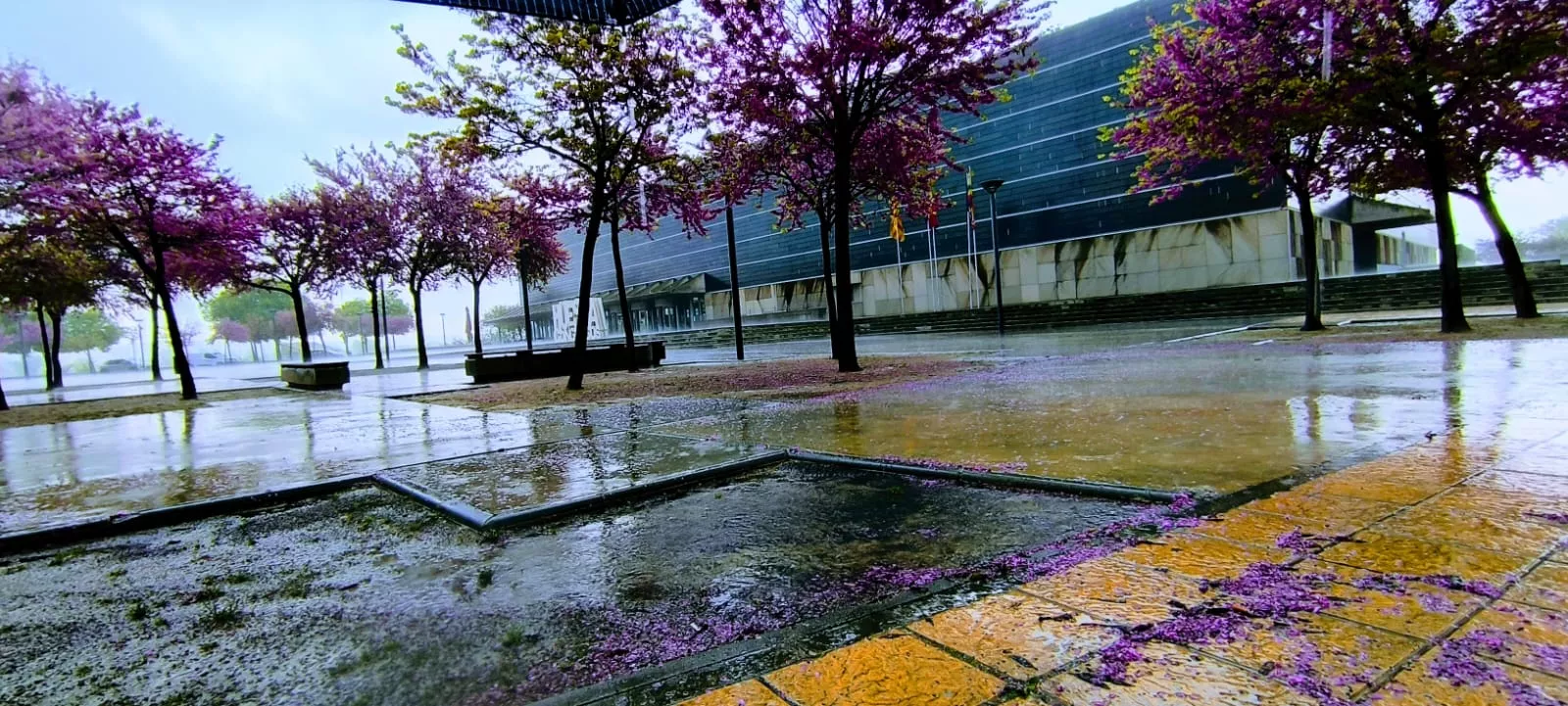 Palacio de Congresos. La lluvia ha caído con fuerza en la ciudad de Huesca. Foto Joaquín Santafé