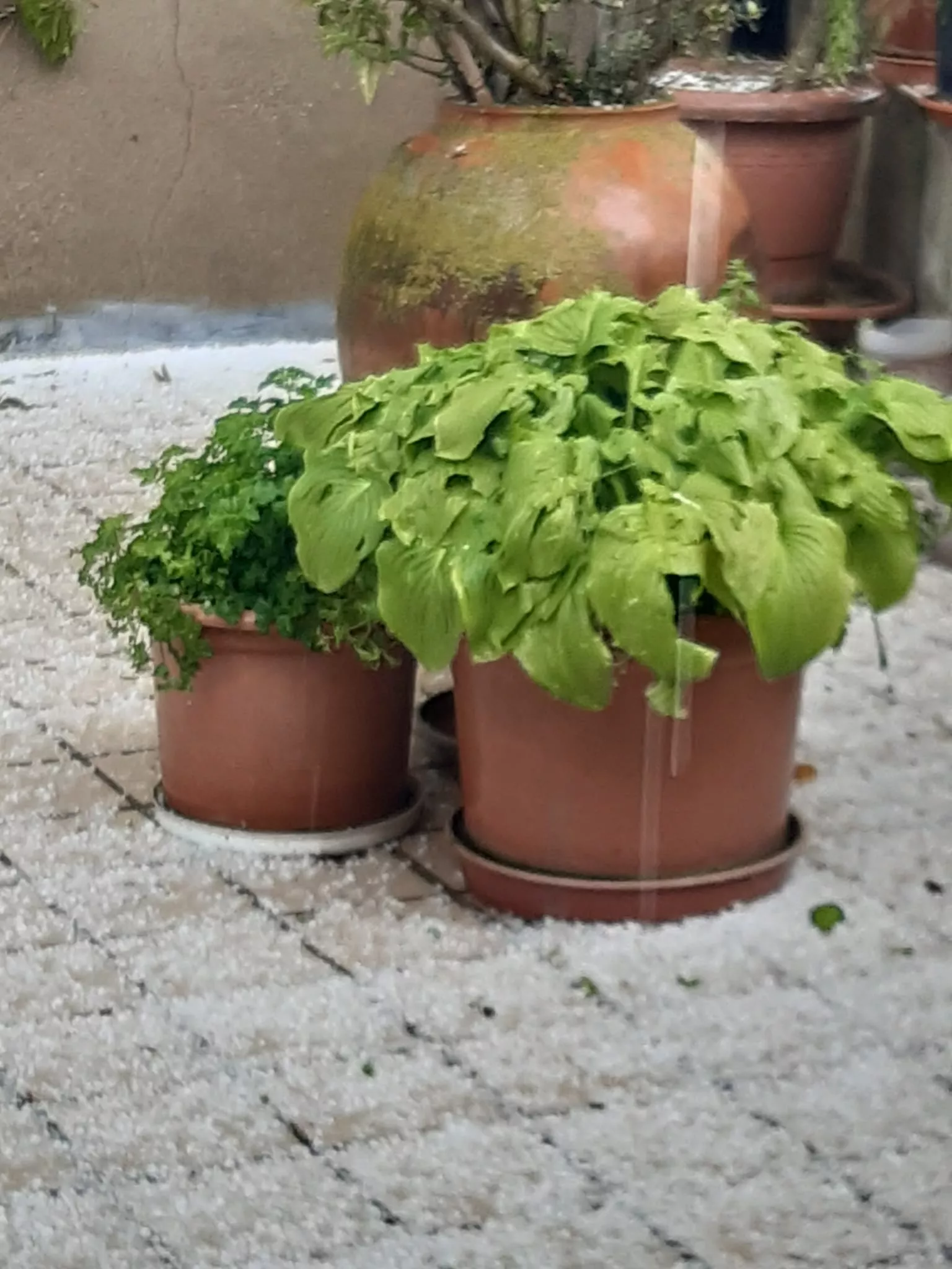 Granizo en Almudévar.