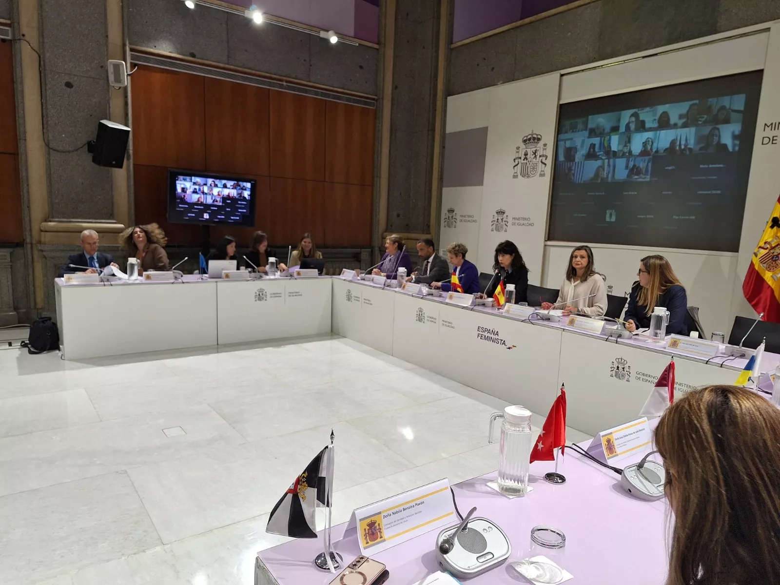 Reunión de la  Comisión Sectorial de Igualdad.