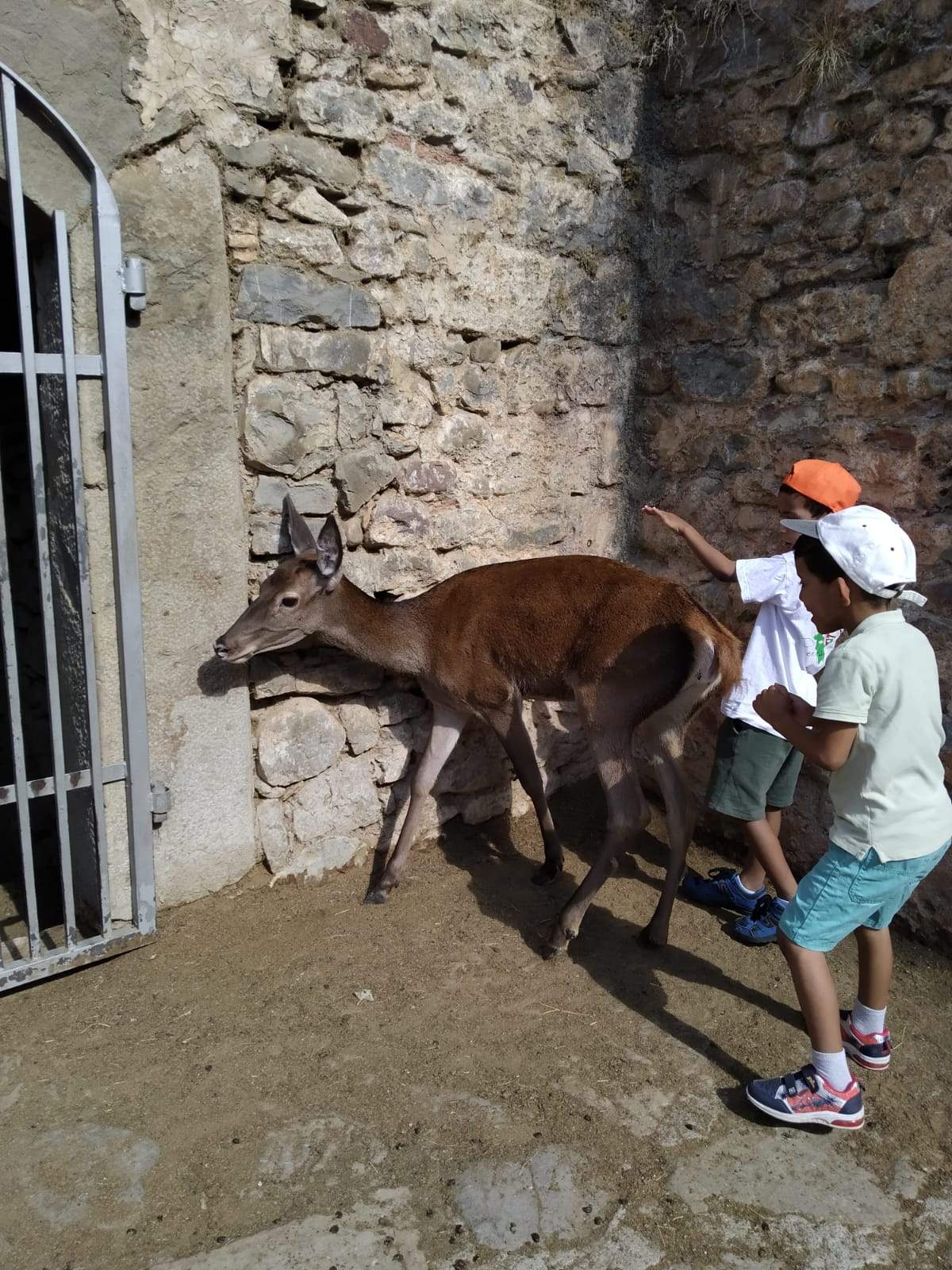 Encuentro de niños saharauis y sus familias de acogida en  Jaca 