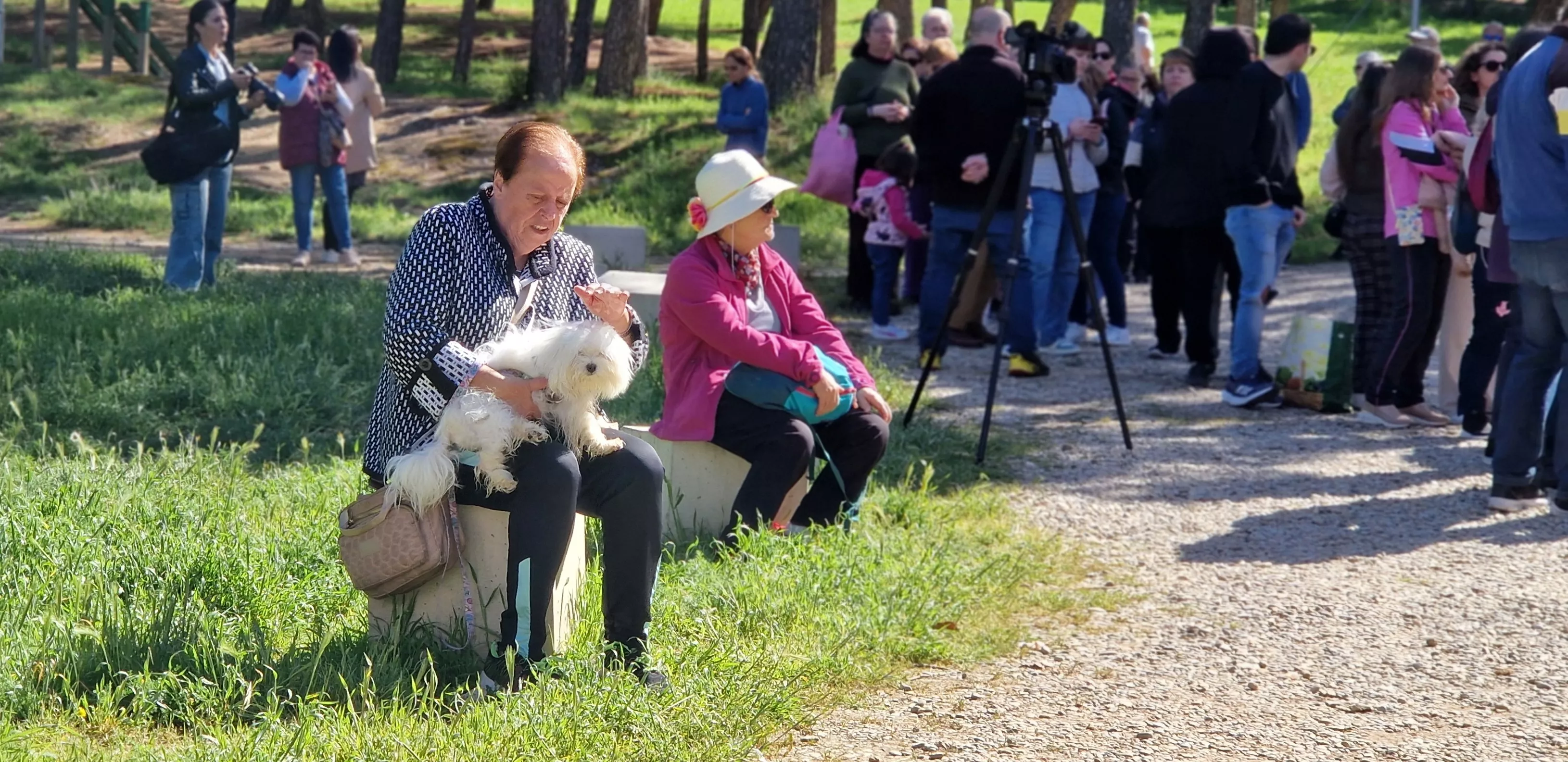 Día de San Jorge en el cerro de Huesca. Foto Myriam Martínez