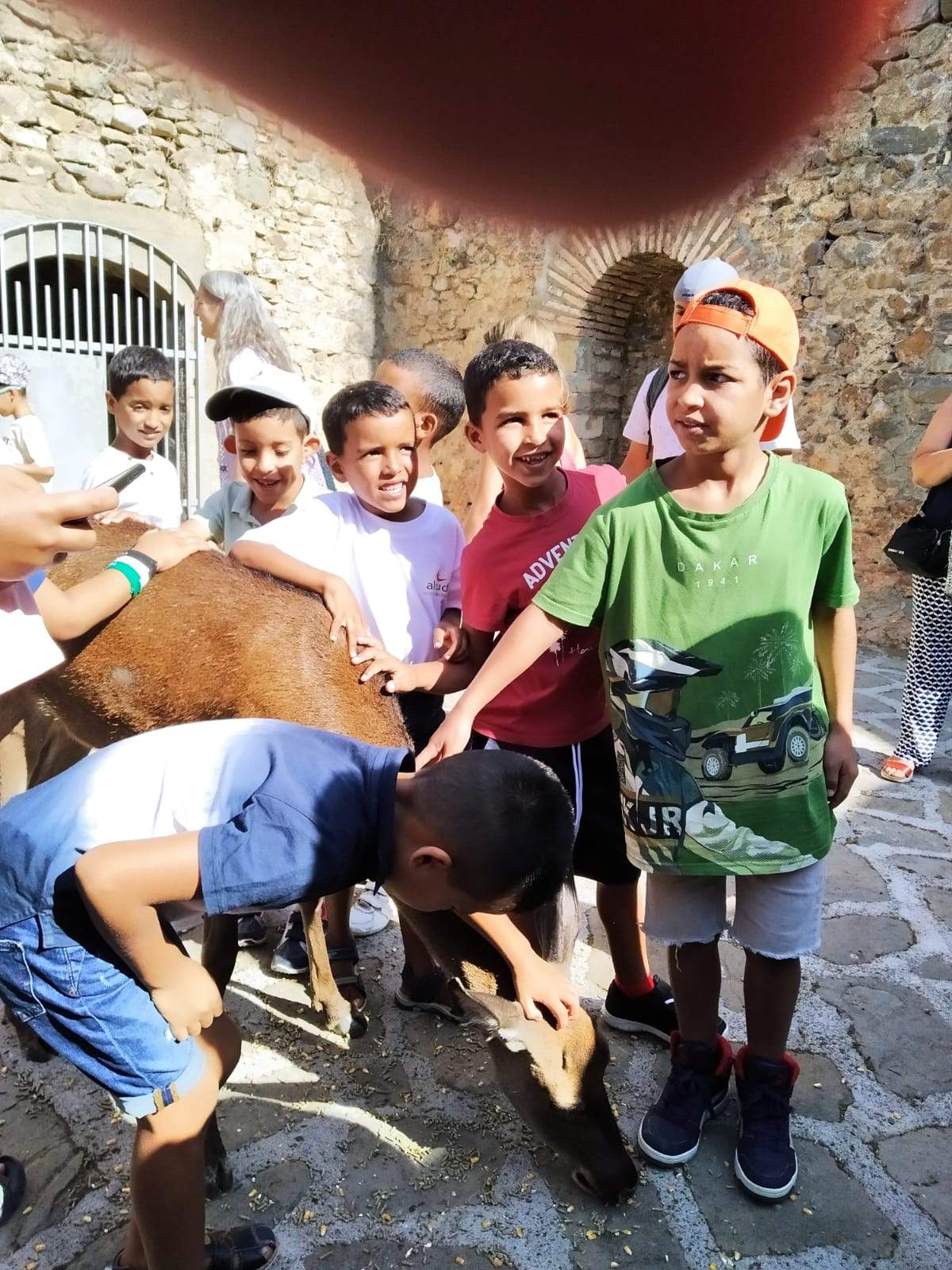 Encuentro de niños saharauis y sus familias de acogida en  Jaca 