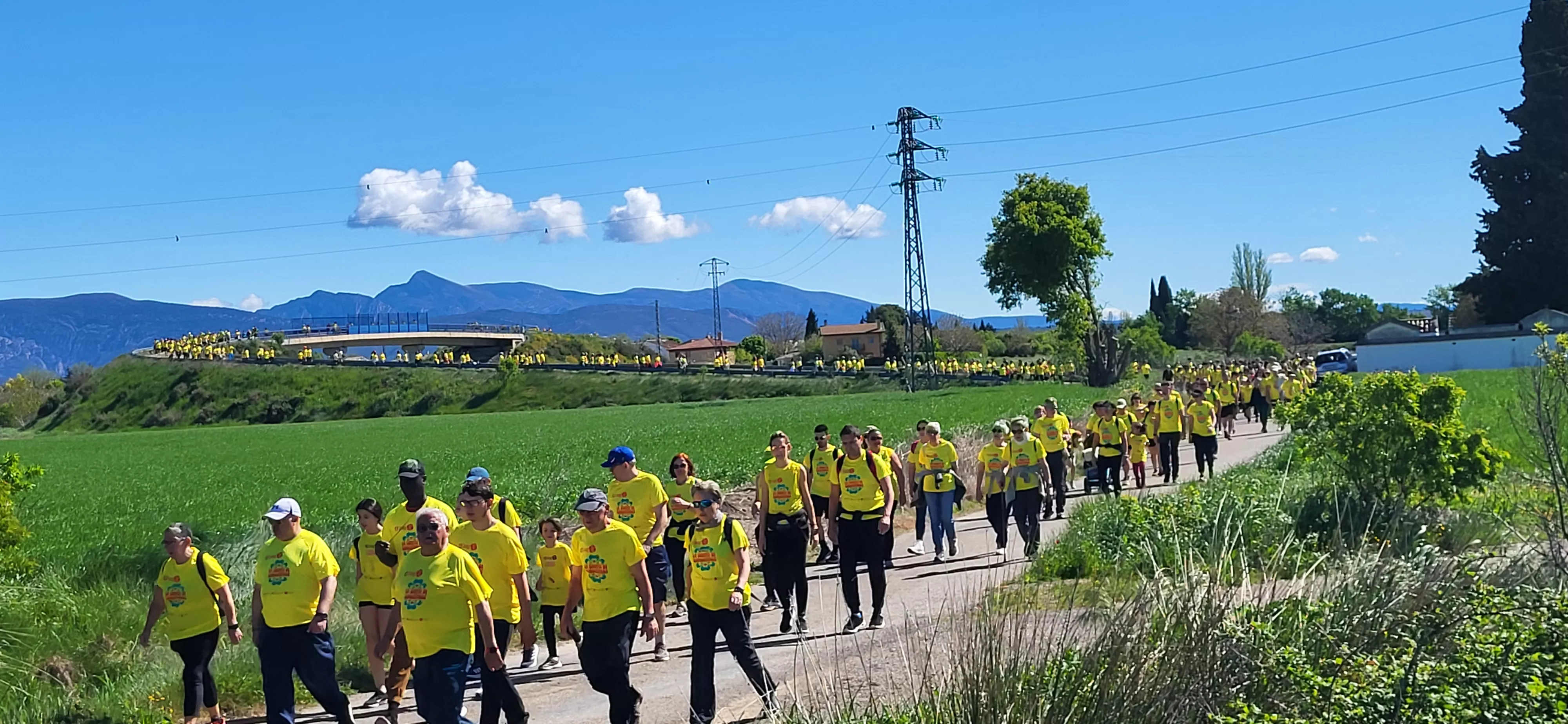 Recorrido de la XIII Marcha Aspace Huesca. Foto Mercedes Manterola