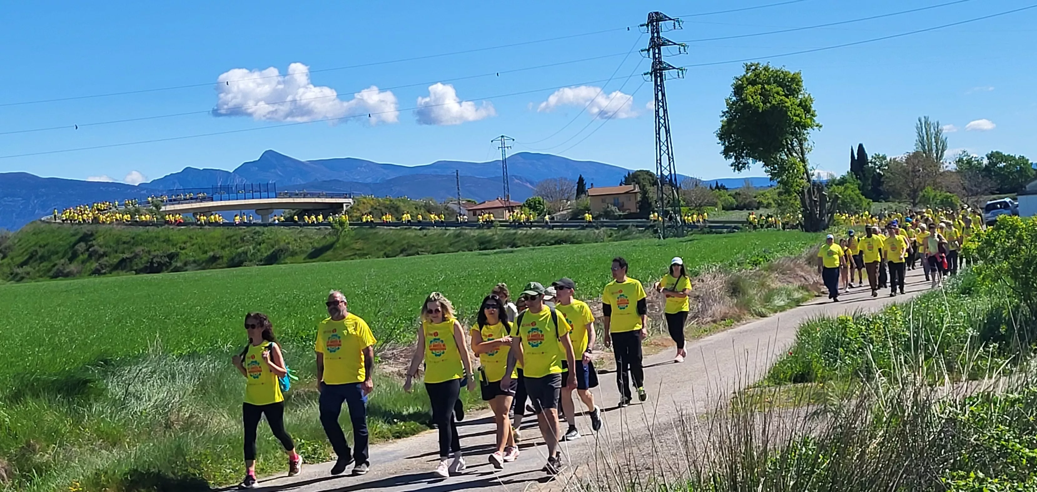 Recorrido de la XIII Marcha Aspace Huesca. Foto Mercedes Manterola