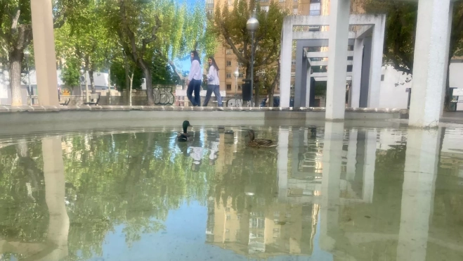 Su ostentoso baño les ha vuelto a colocar bajo el foco mediático. Su ostentoso baño les ha vuelto a colocar bajo el foco mediático.