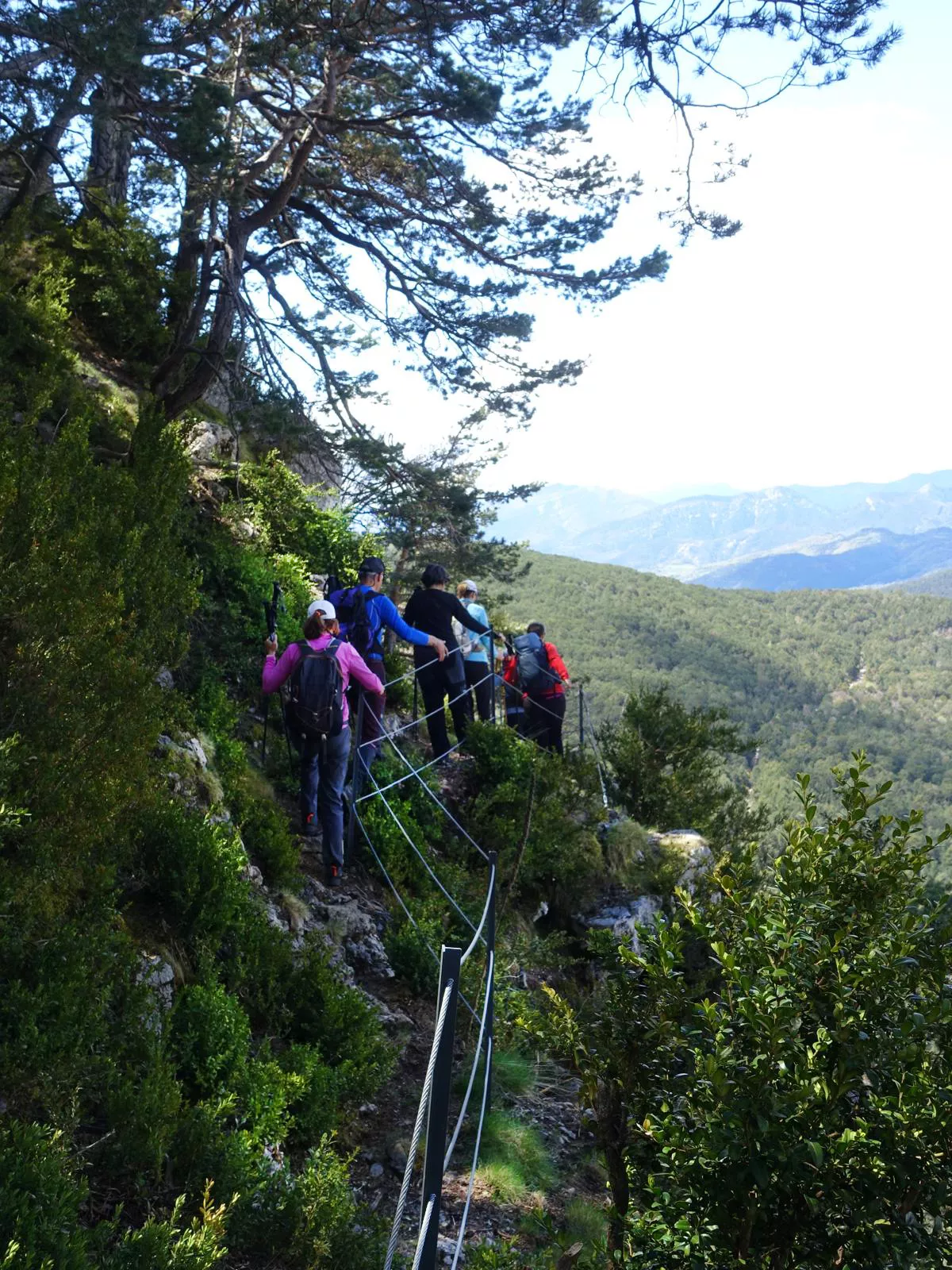 Protecciones en el pico. Foto Alfredo Zazo