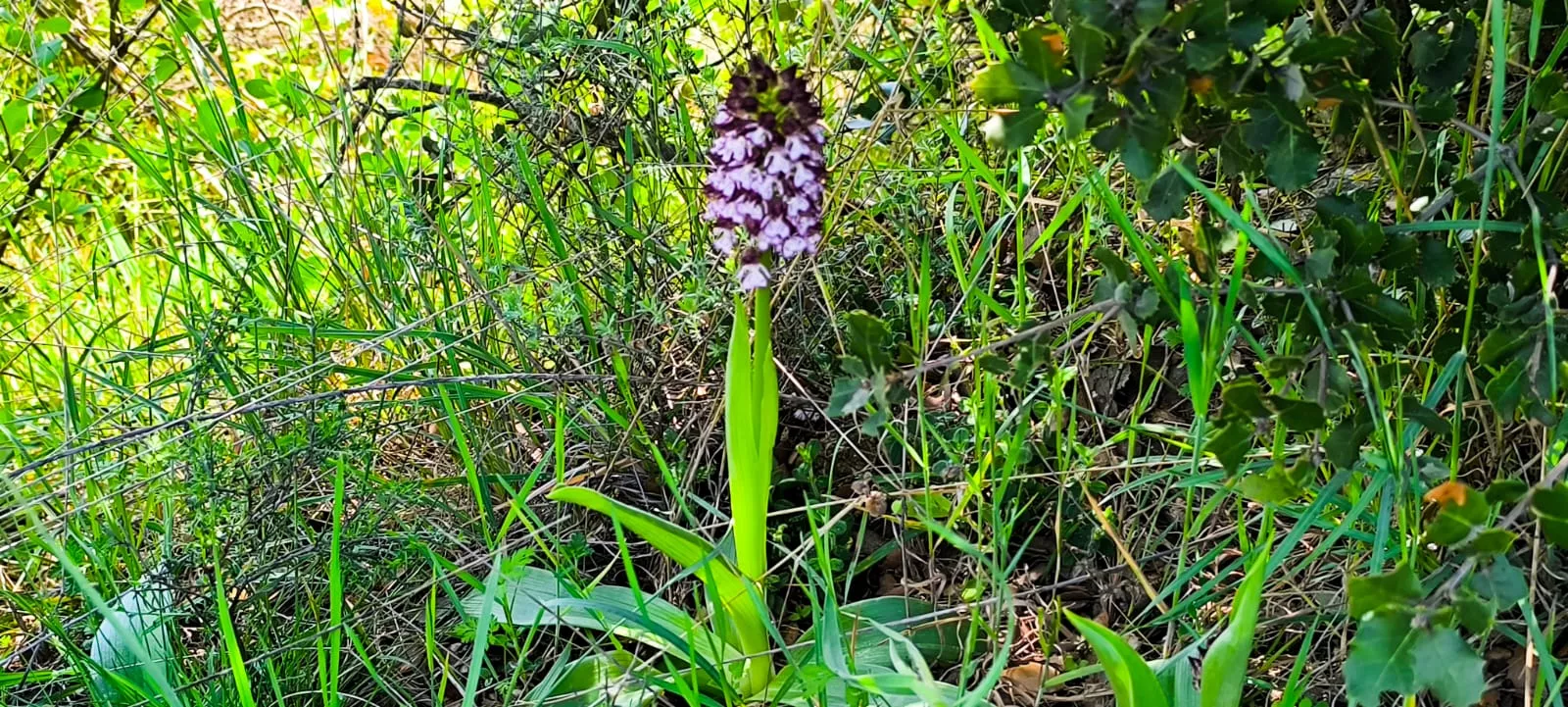 Excursión organizada por Unizar a Barós y Ullué. Foto Joaquín Santafé
