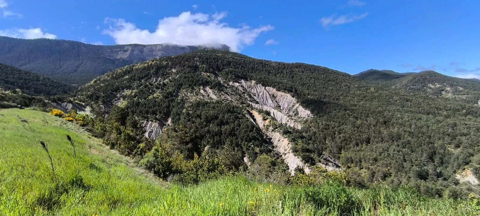 Excursión organizada por Unizar a Barós y Ullué. Foto Joaquín Santafé