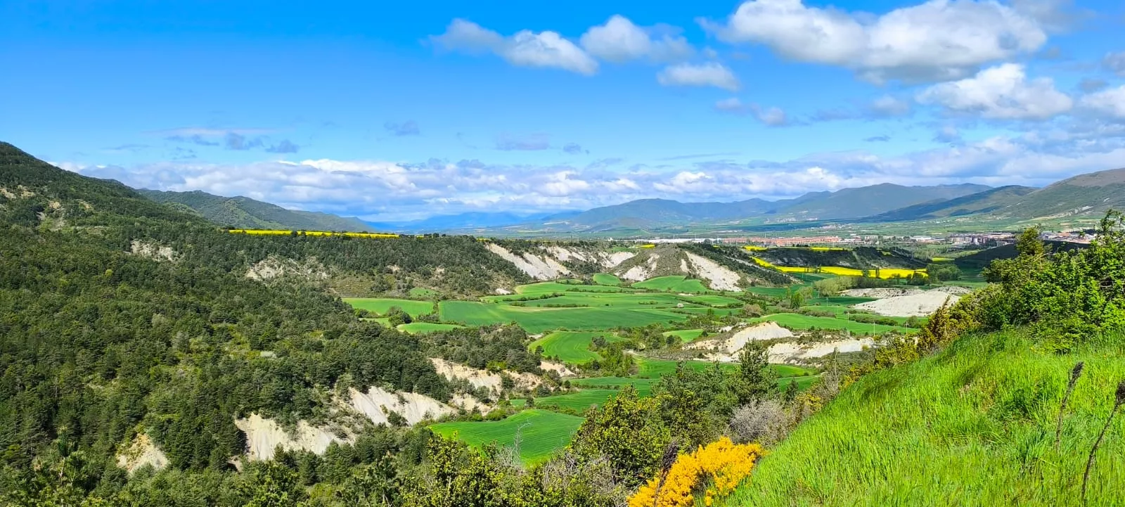Excursión organizada por Unizar a Barós y Ullué. Foto Joaquín Santafé
