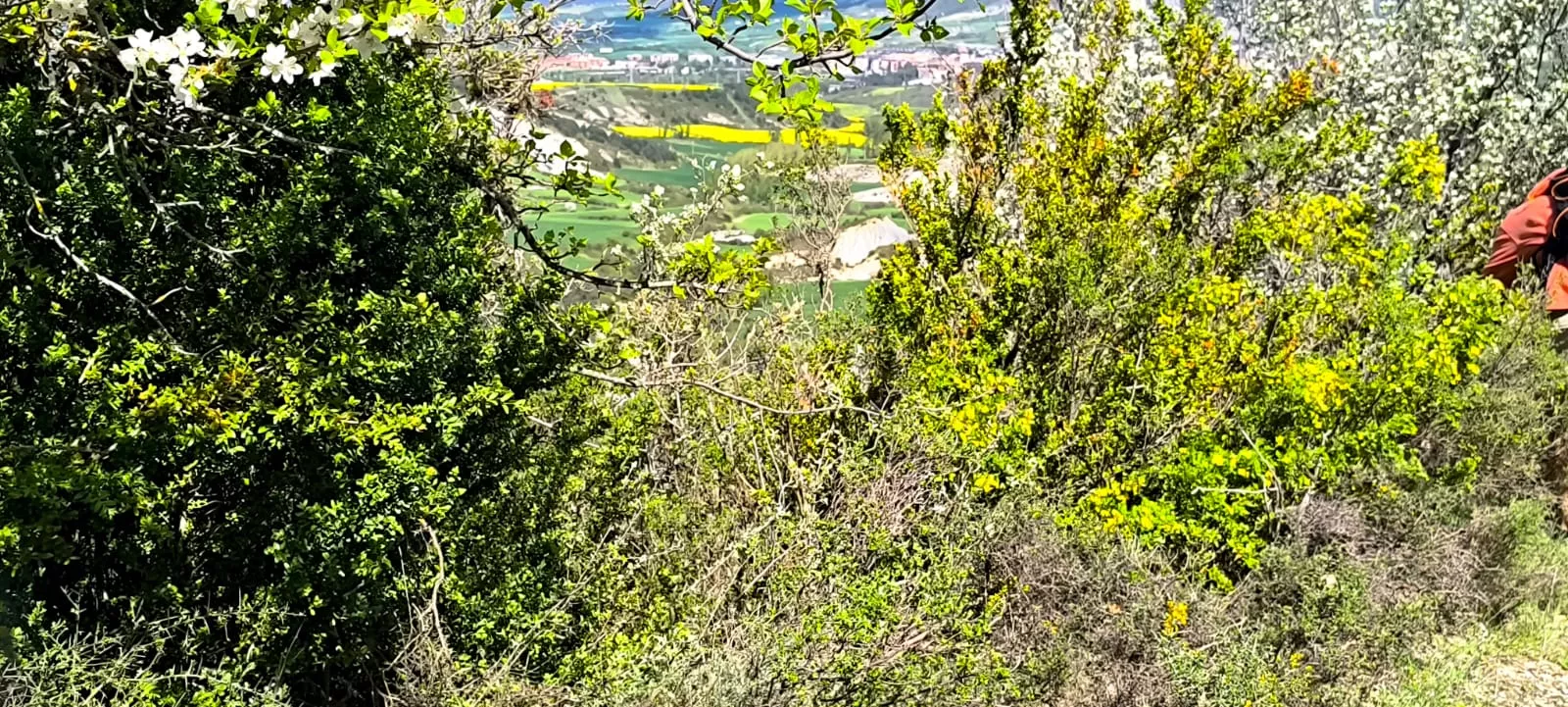 Excursión organizada por Unizar a Barós y Ullué. Foto Joaquín Santafé