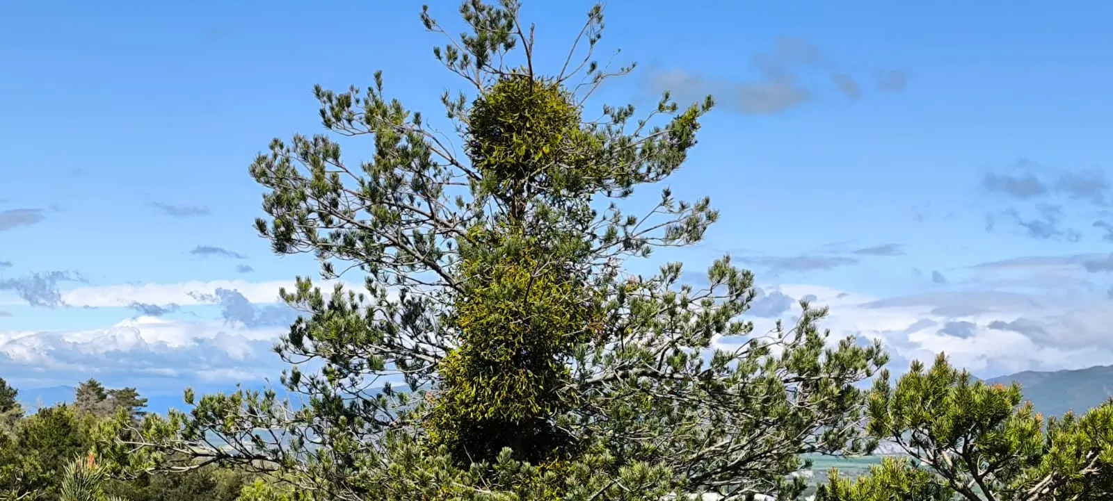Excursión organizada por Unizar a Barós y Ullué. Foto Joaquín Santafé