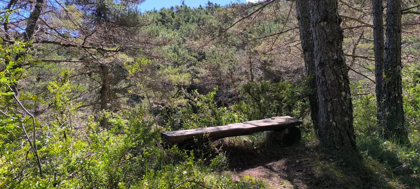 Excursión organizada por Unizar a Barós y Ullué. Foto Joaquín Santafé