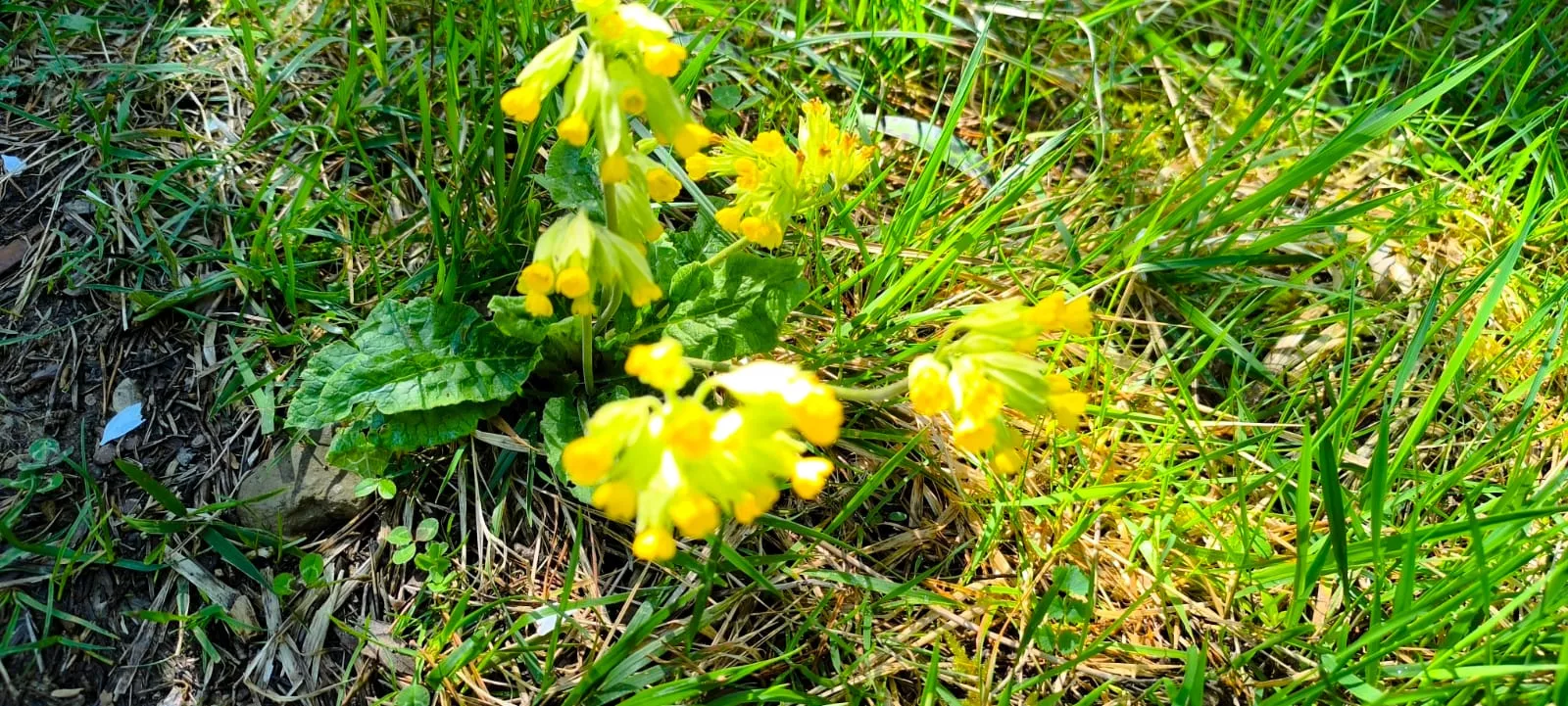 Excursión organizada por Unizar a Barós y Ullué. Foto Joaquín Santafé