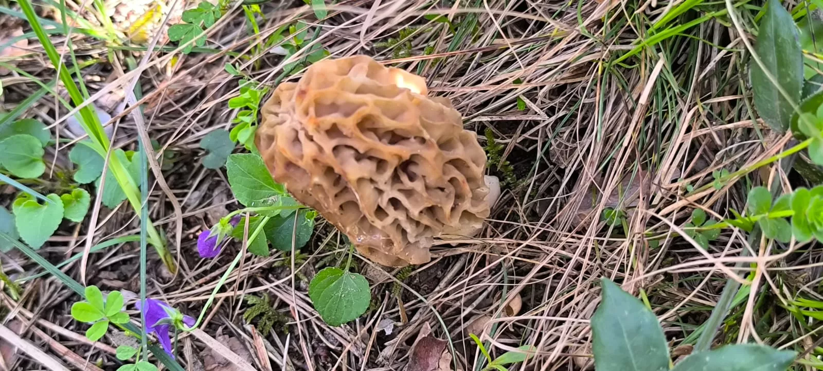 Excursión organizada por Unizar a Barós y Ullué. Foto Joaquín Santafé
