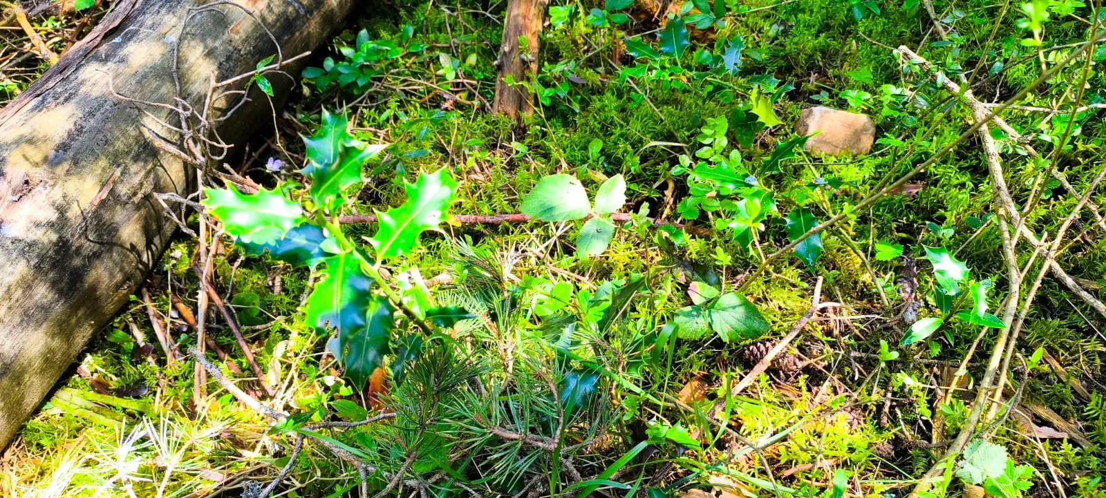 Excursión organizada por Unizar a Barós y Ullué. Foto Joaquín Santafé