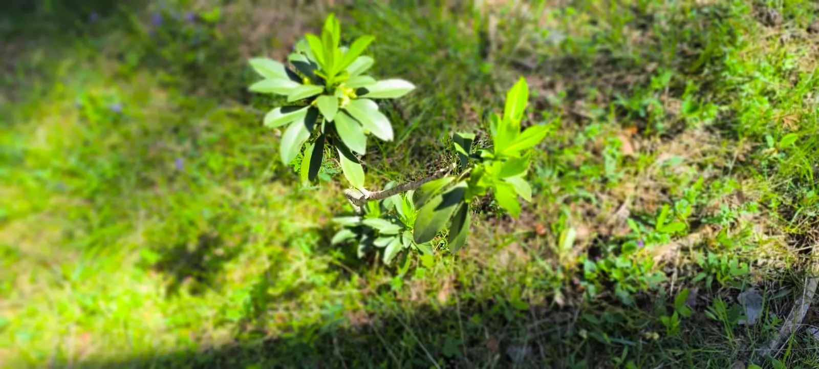 Excursión organizada por Unizar a Barós y Ullué. Foto Joaquín Santafé
