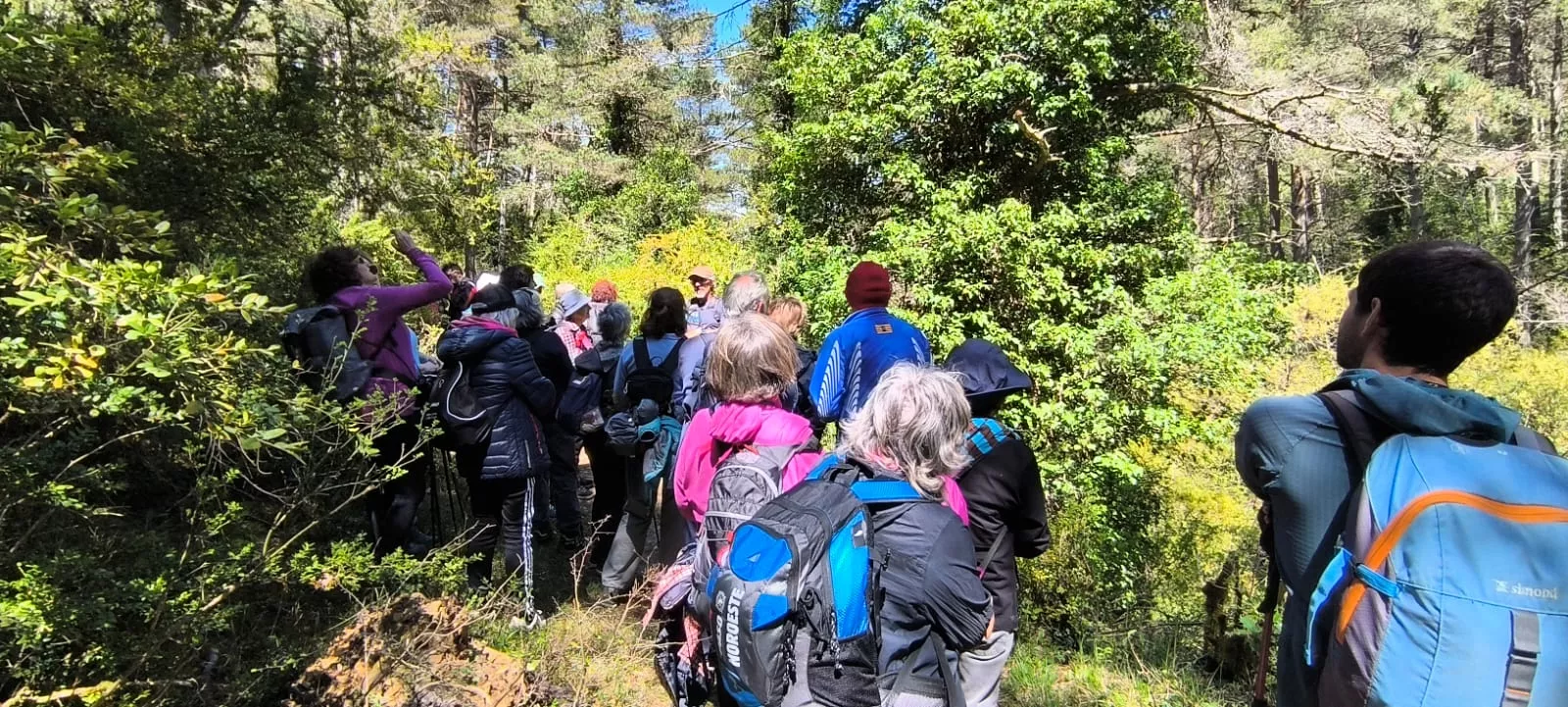 El grupo +55 de Unizar recorre a pie Barós y Ullé con el Pirineo como fondo. Foto Joaquín Santafé El grupo +55 de Unizar recorre a pie Barós y Ullé con el Pirineo como fondo. Foto Joaquín Santafé