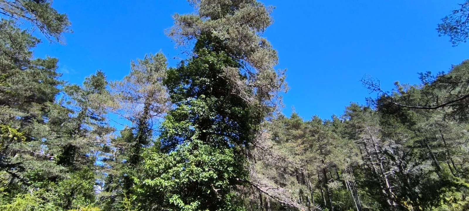 Excursión organizada por Unizar a Barós y Ullué. Foto Joaquín Santafé