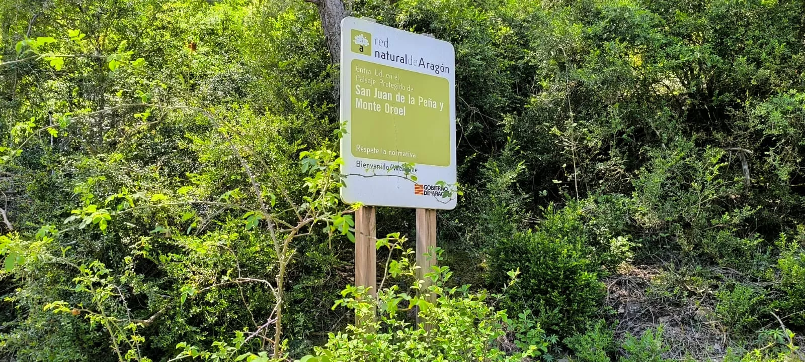 Excursión organizada por Unizar a Barós y Ullué. Foto Joaquín Santafé