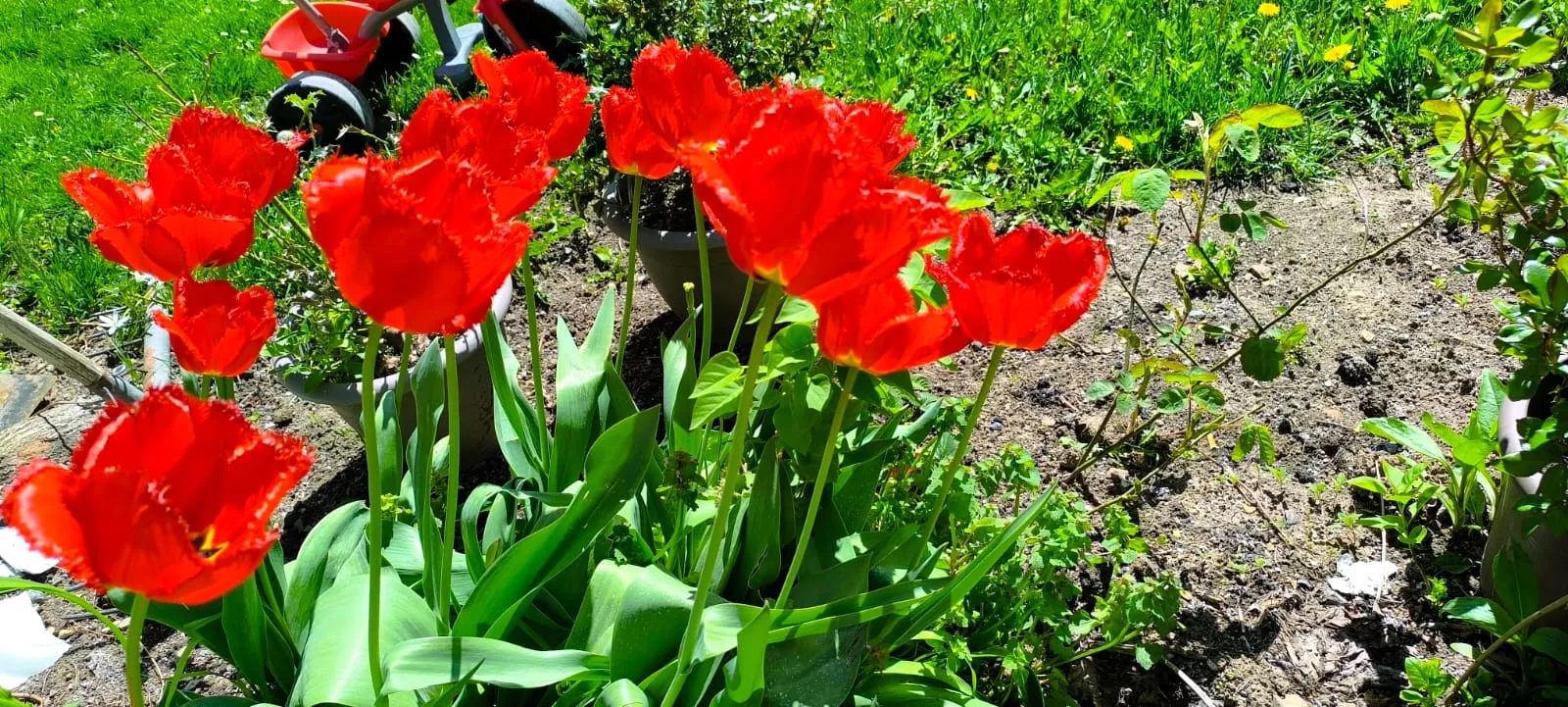 Excursión organizada por Unizar a Barós y Ullué. Foto Joaquín Santafé