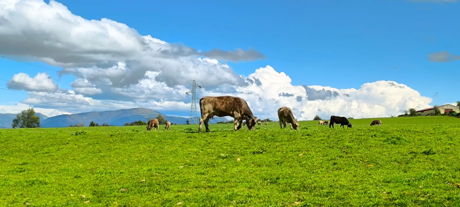 Excursión organizada por Unizar a Barós y Ullué. Foto Joaquín Santafé