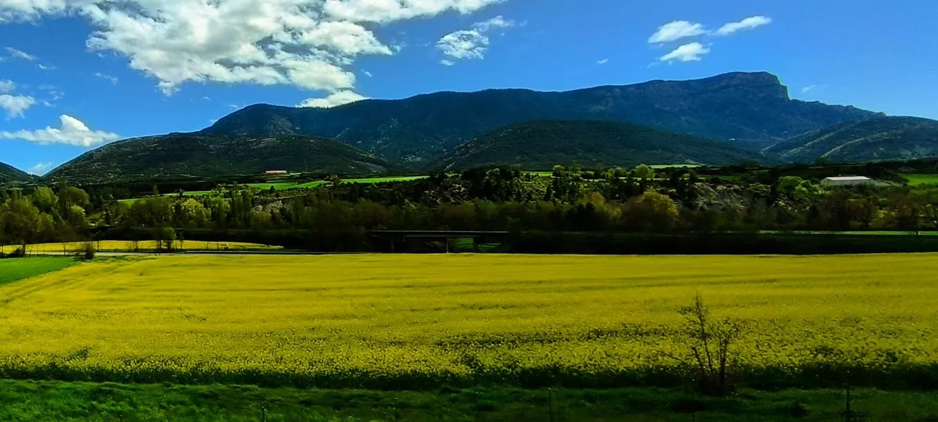 Excursión organizada por Unizar a Barós y Ullué. Foto Joaquín Santafé