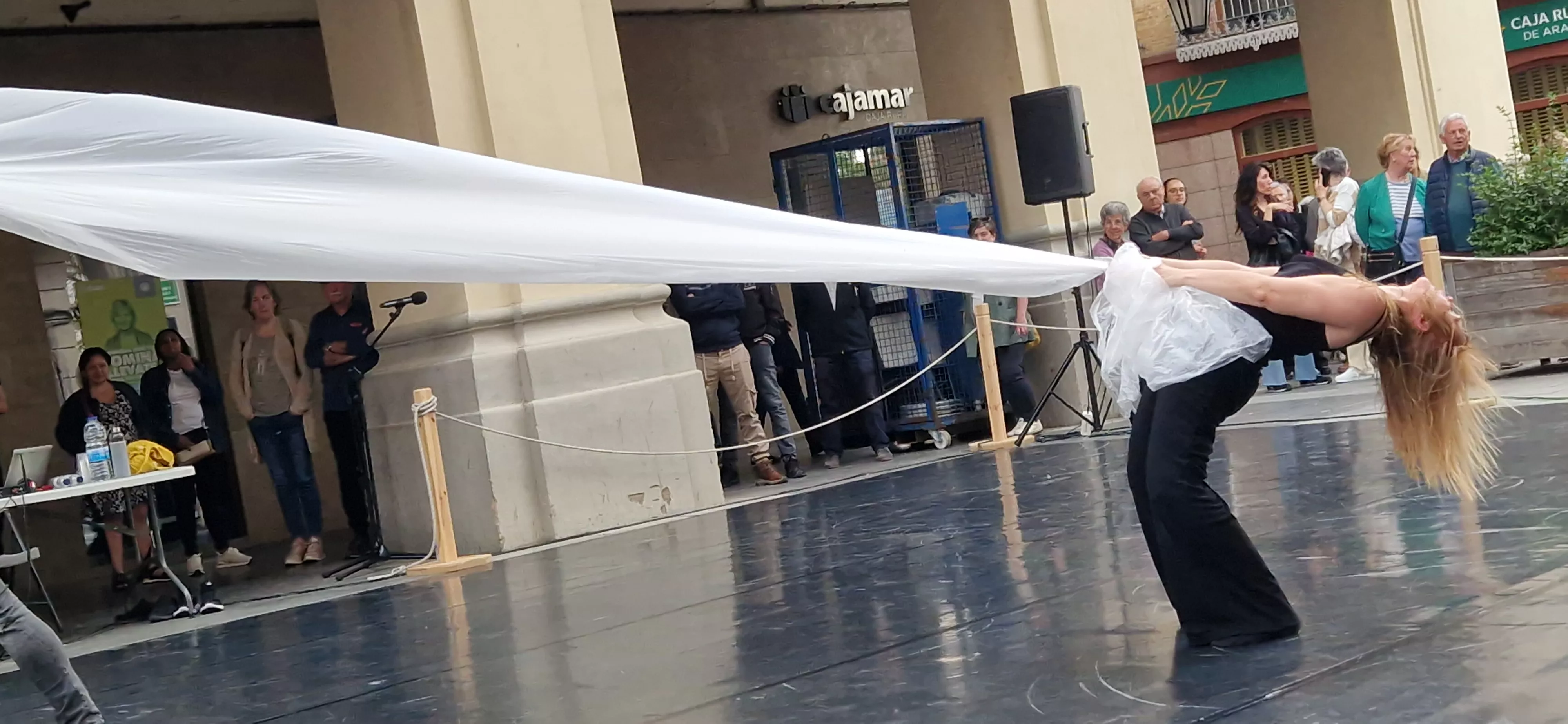 Compañía Zalma Danza Teatro. Foto Myriam Martínez