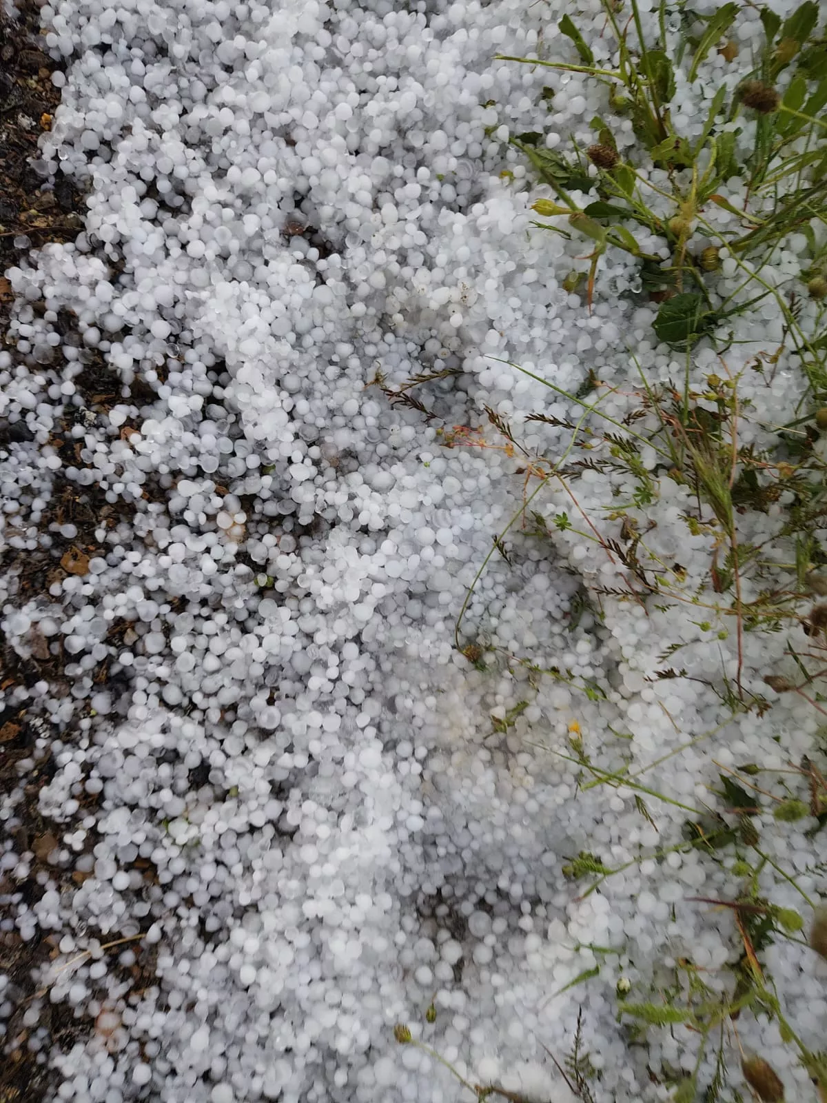 Granizada en Lanaja.