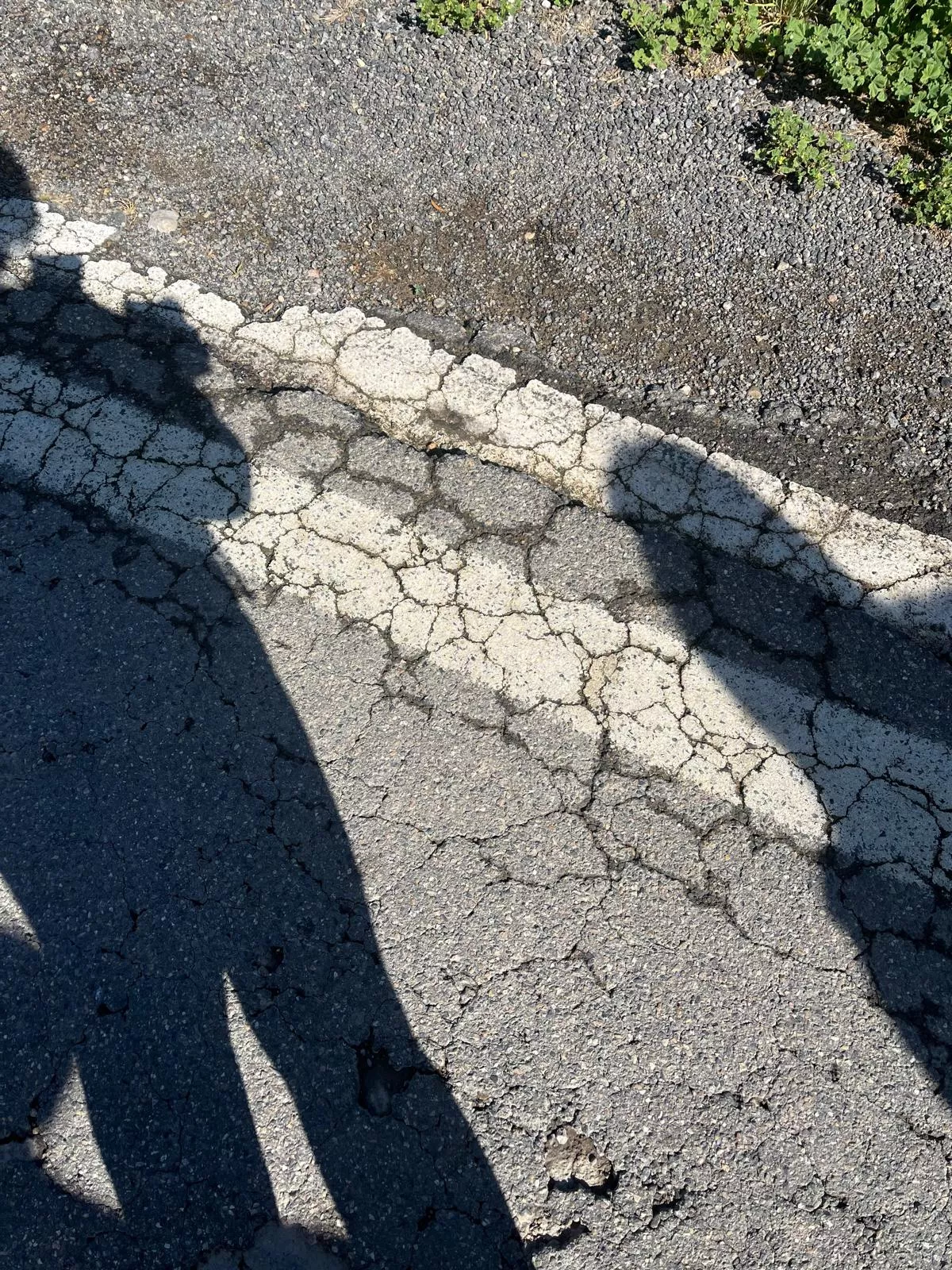 Andada Popular por una Carretera A-1239 Albalate de Cinca-Esplús segura