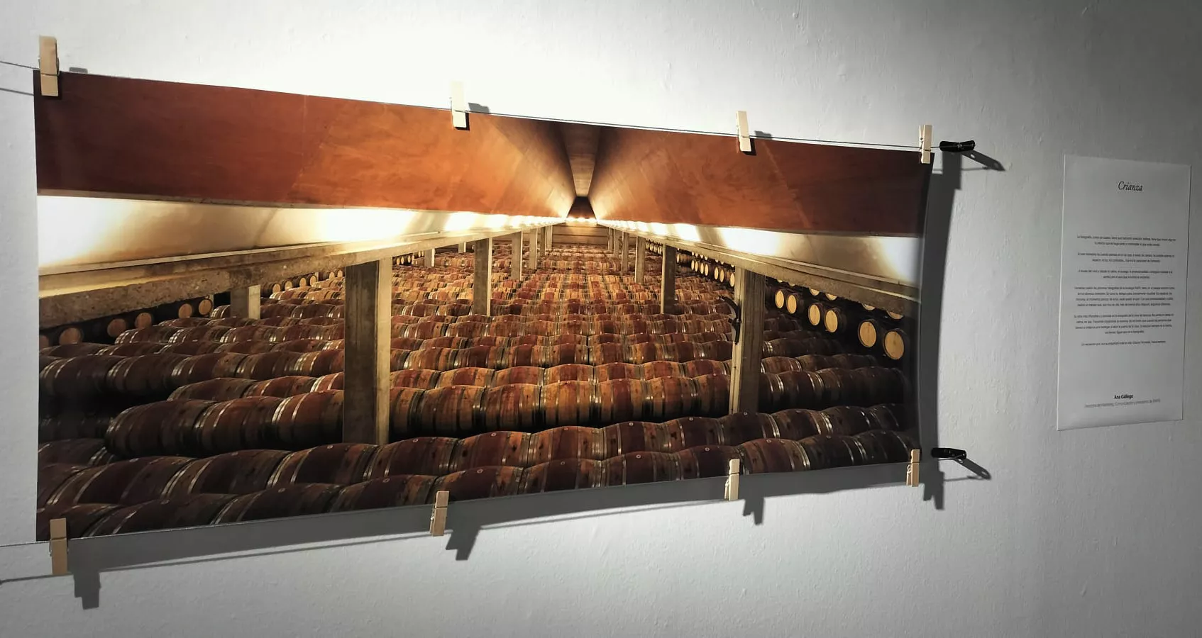 Exposición de Fernando Alvira Lizano. Foto María José Sampietro