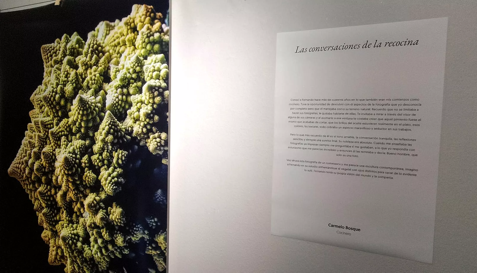 Exposición de Fernando Alvira Lizano. Foto María José Sampietro