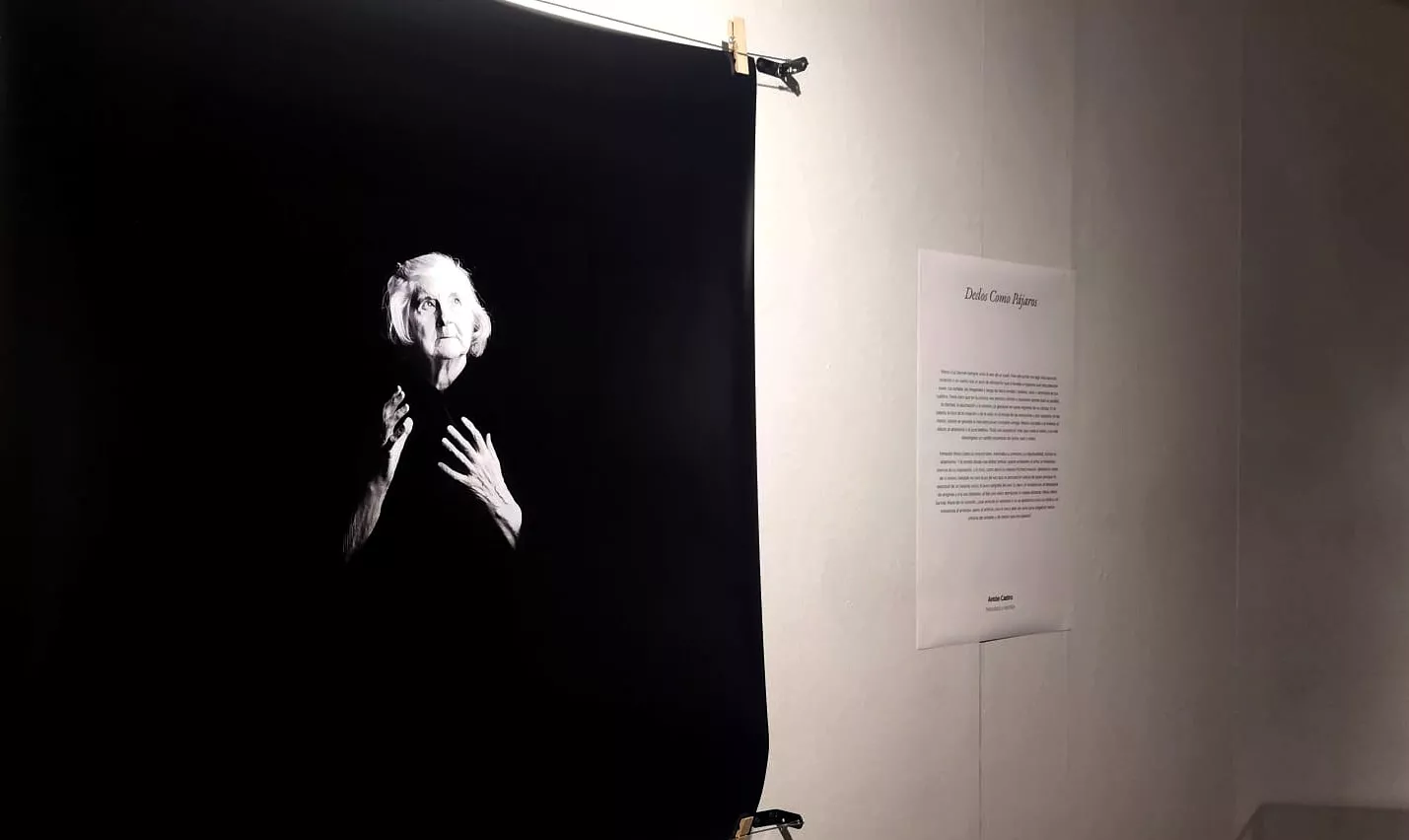 Exposición de Fernando Alvira Lizano. Foto María José Sampietro