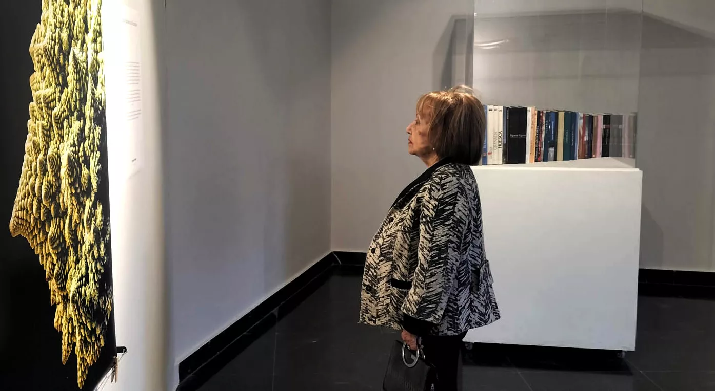 Exposición de Fernando Alvira Lizano. Foto María José Sampietro