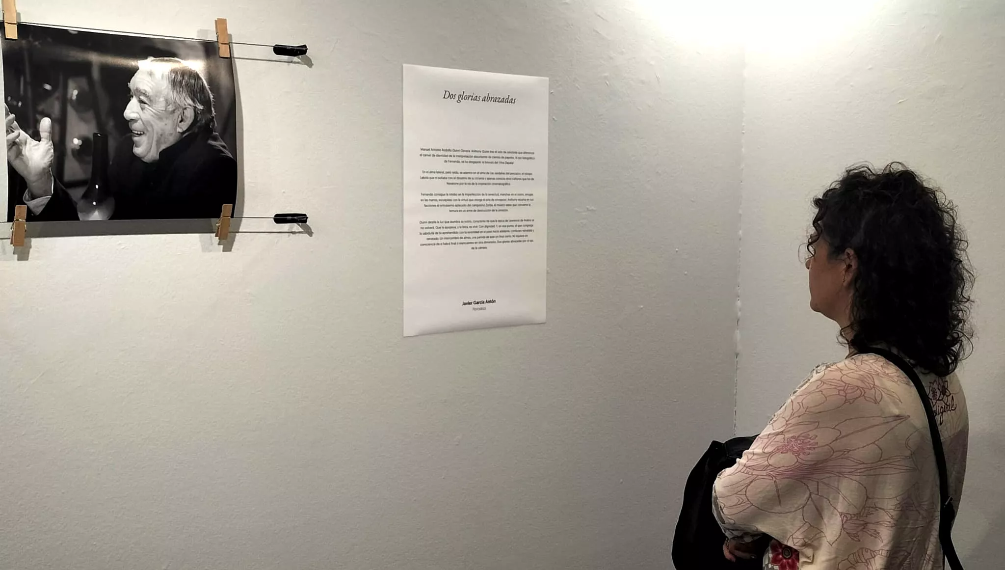 Exposición de Fernando Alvira Lizano. Foto María José Sampietro