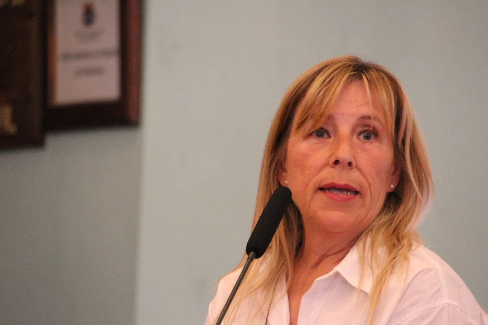 Presentación del libro "Caminar con artritis" de  Isabel Pérez y Lucía Colom. Foto Carlos Neofato