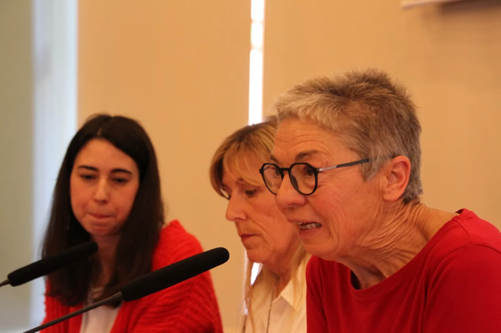 Presentación del libro "Caminar con artritis" de  Isabel Pérez y Lucía Colom. Foto Carlos Neofato