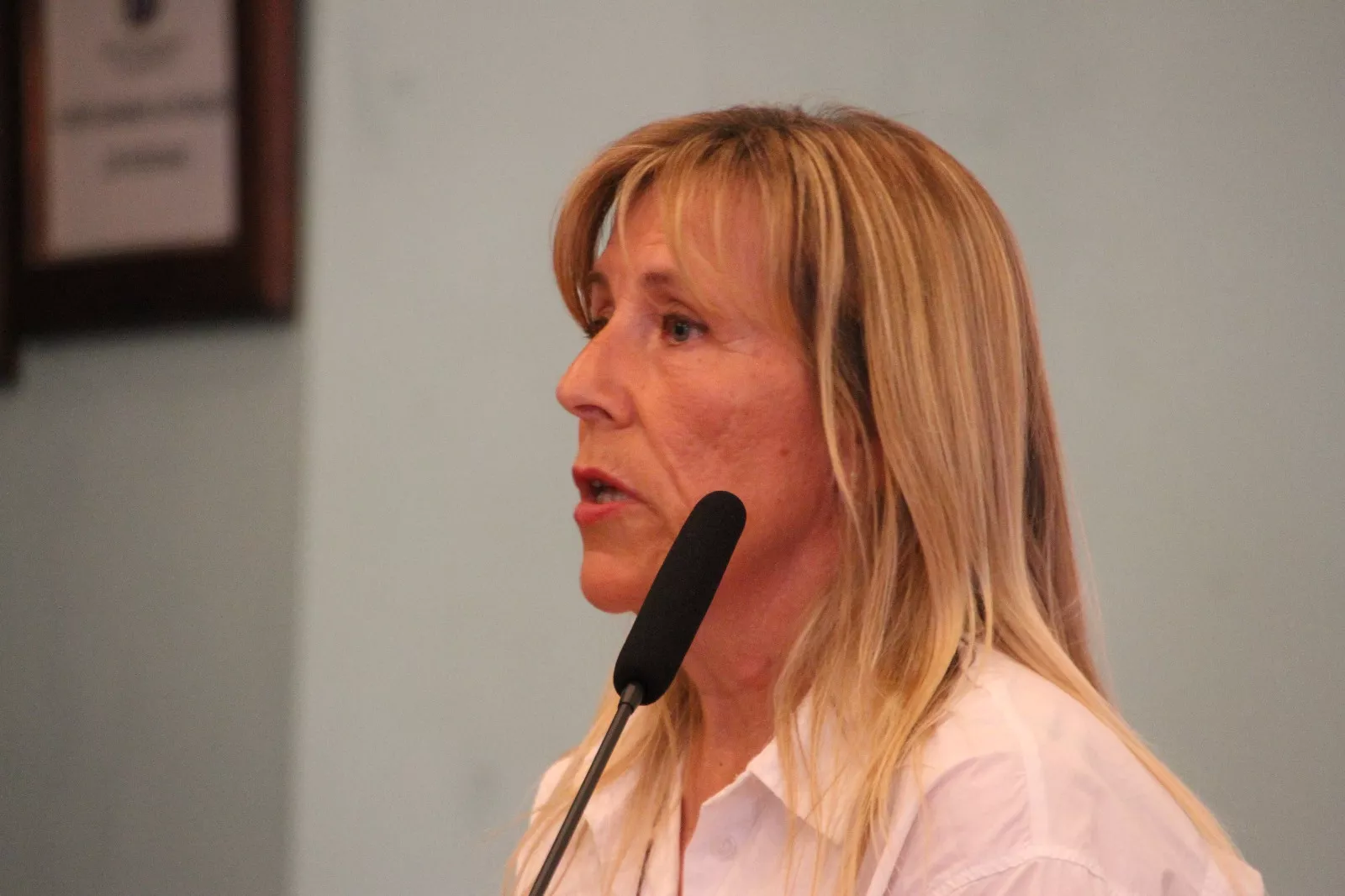 Presentación del libro "Caminar con artritis" de  Isabel Pérez y Lucía Colom. Foto Carlos Neofato