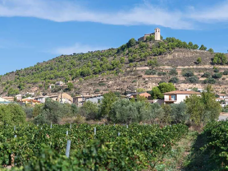 Fallece un vecino del Somontano de 88 años al volcar su tractor en Salas Altas.