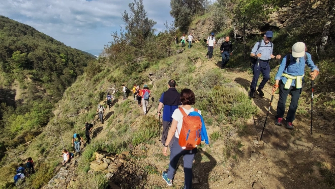 MUro4 CMNabain MUro4 CMNabain