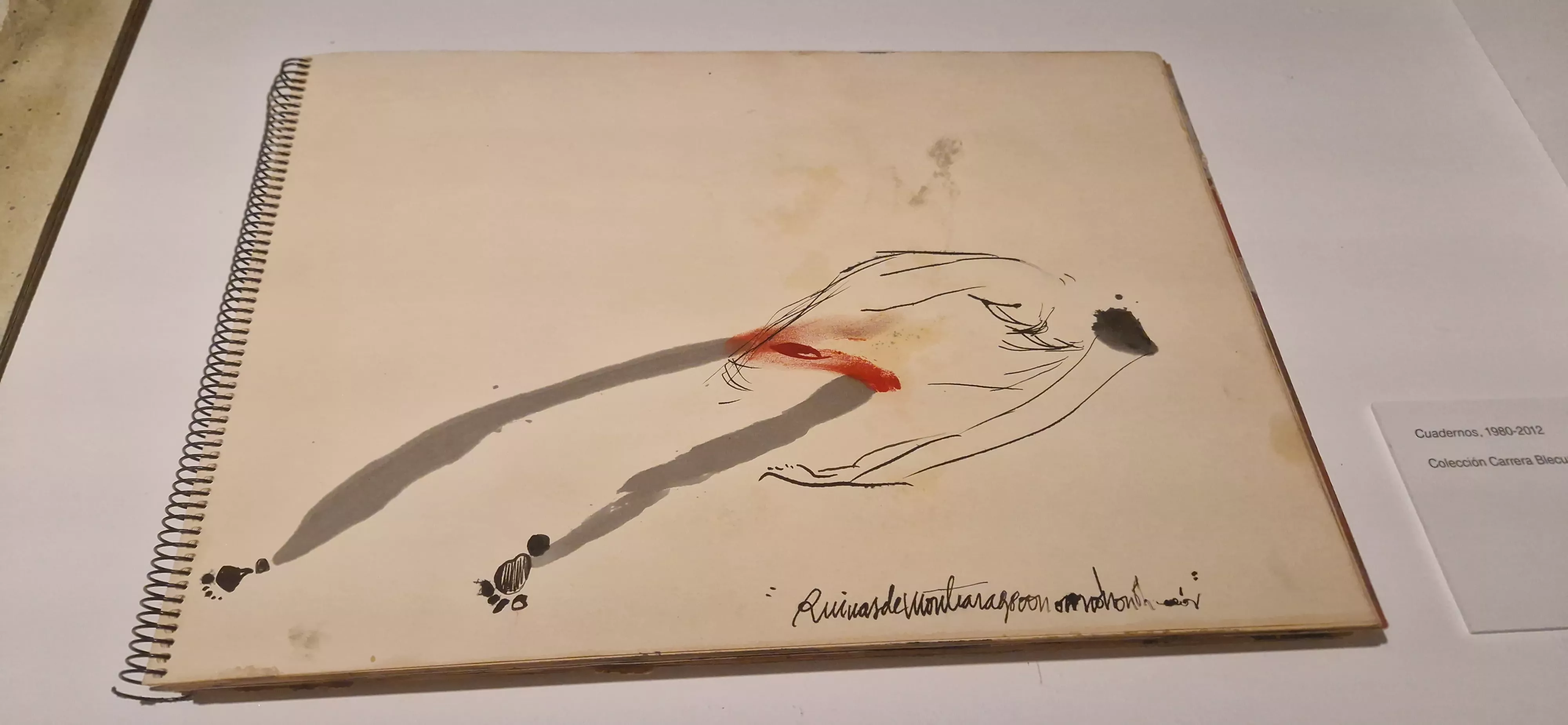 Exposición "Viaje de ida y vuelta" de Carrera Blecua. Foto Myriam Martínez