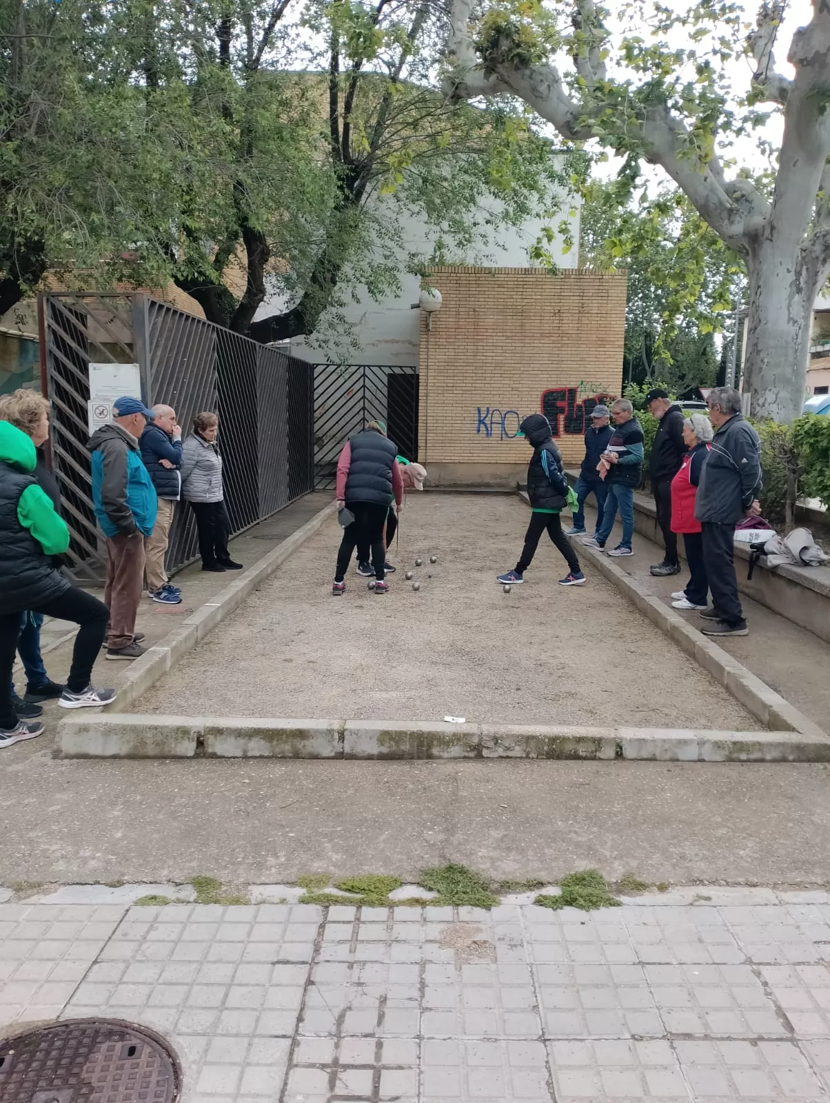 Campeonato de petanca.