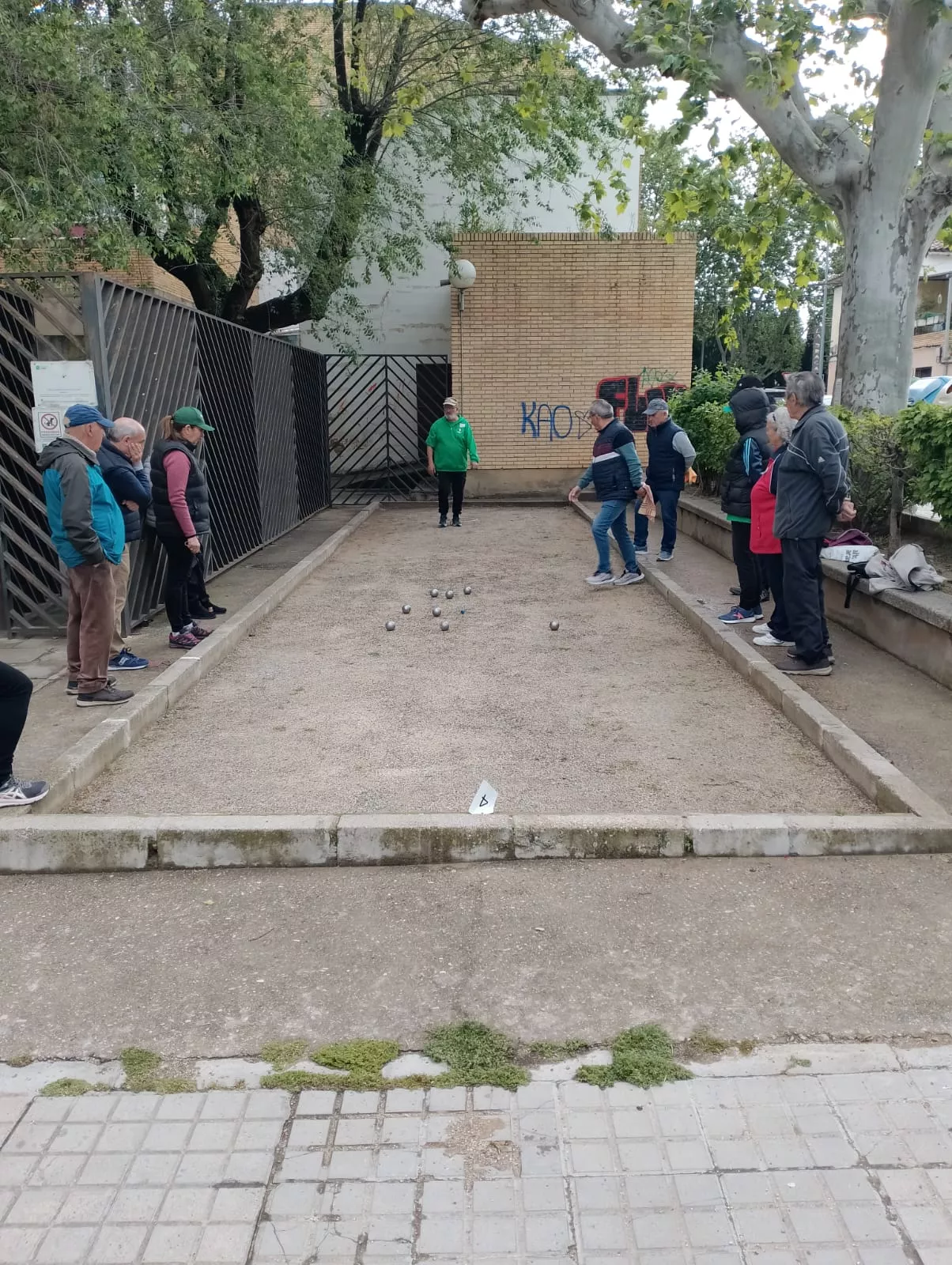 Campeonato de petanca.