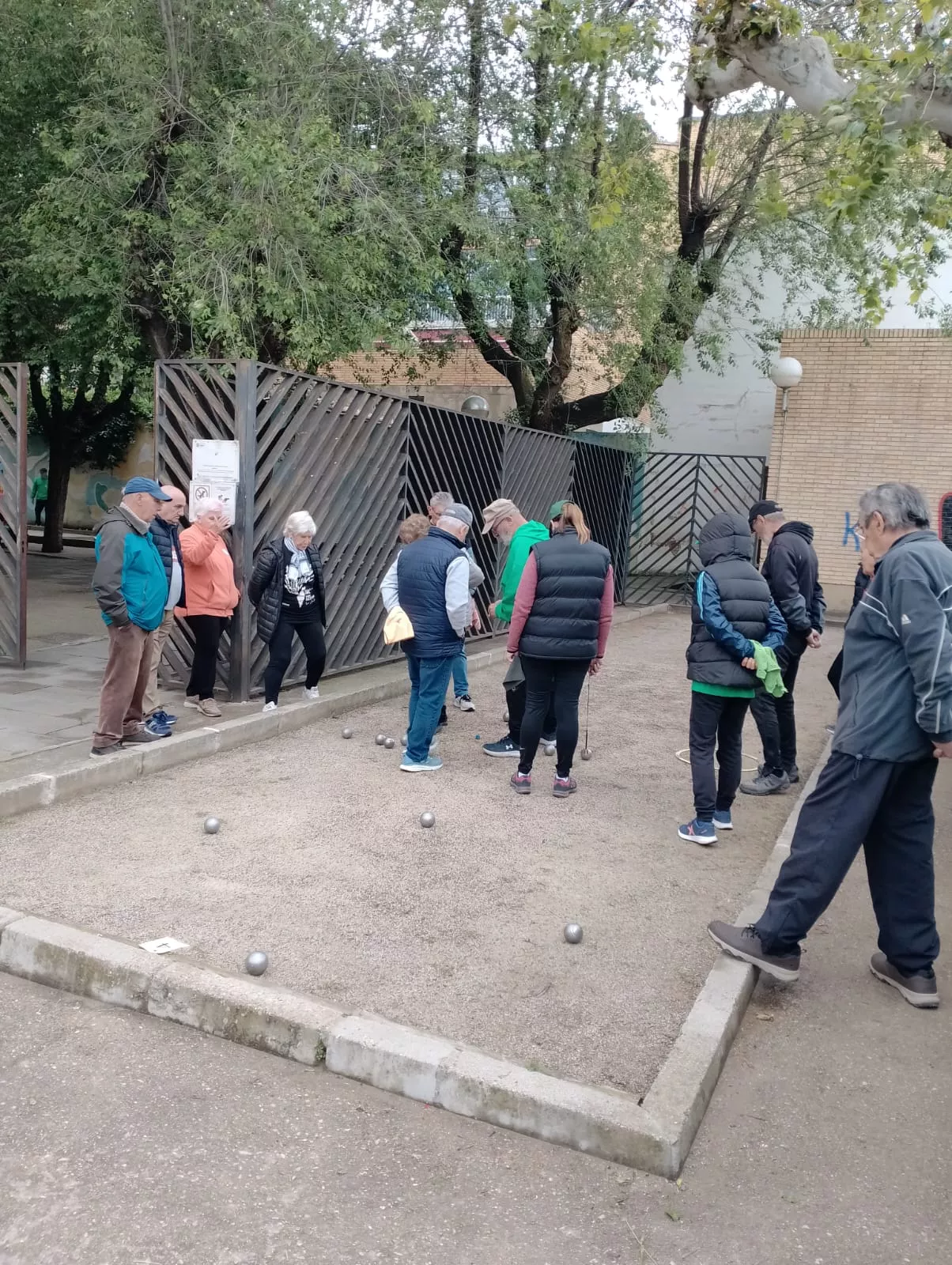 Campeonato de petanca.