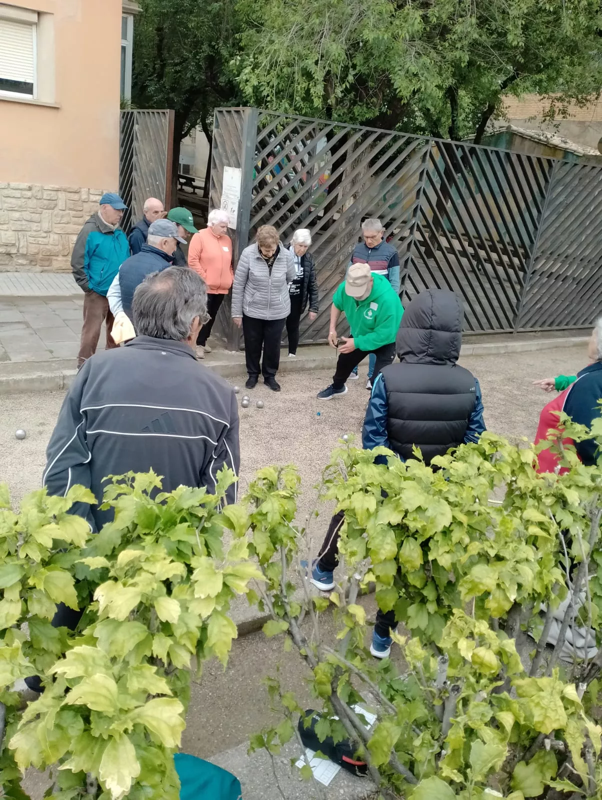 Campeonato de petanca.