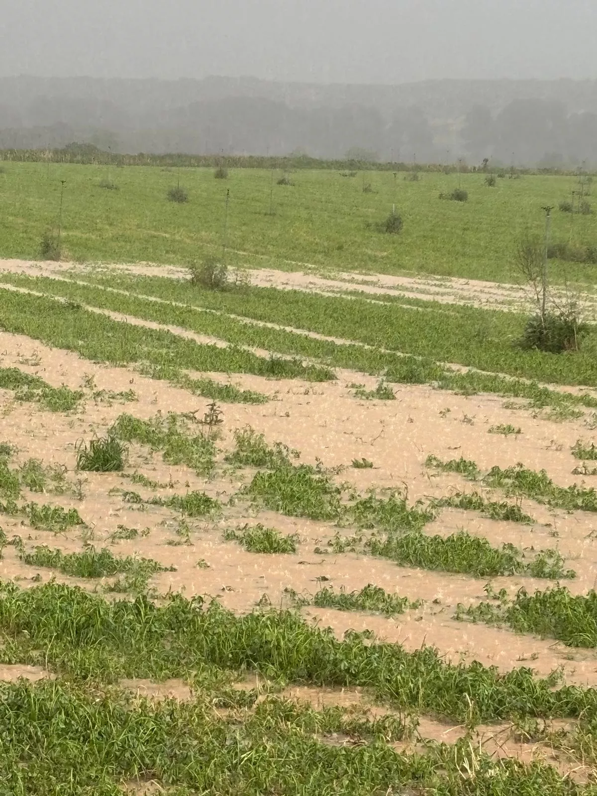 Consecuencias de las fuertes tormentas en la provincia.