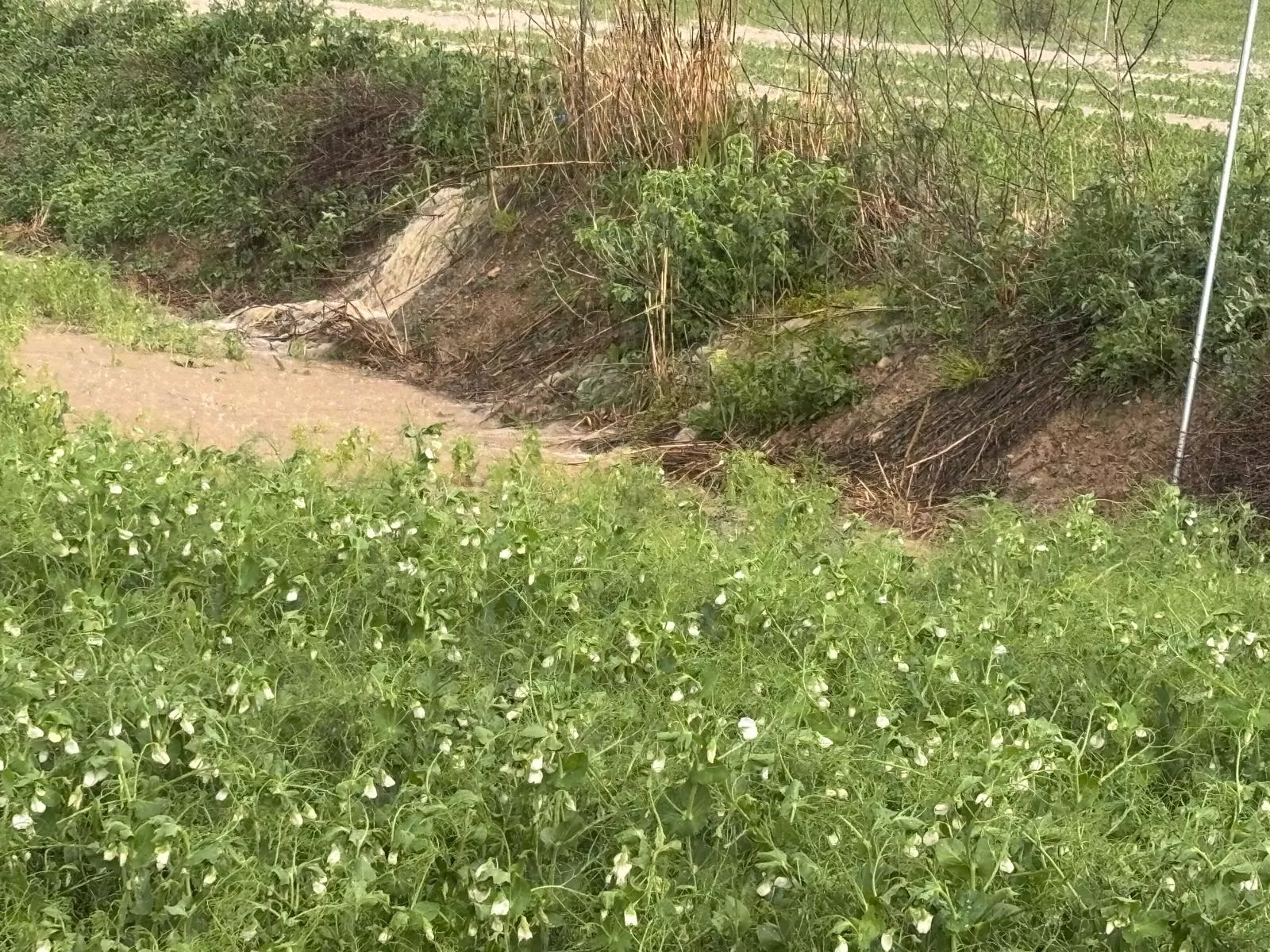Consecuencias de las fuertes tormentas en la provincia.