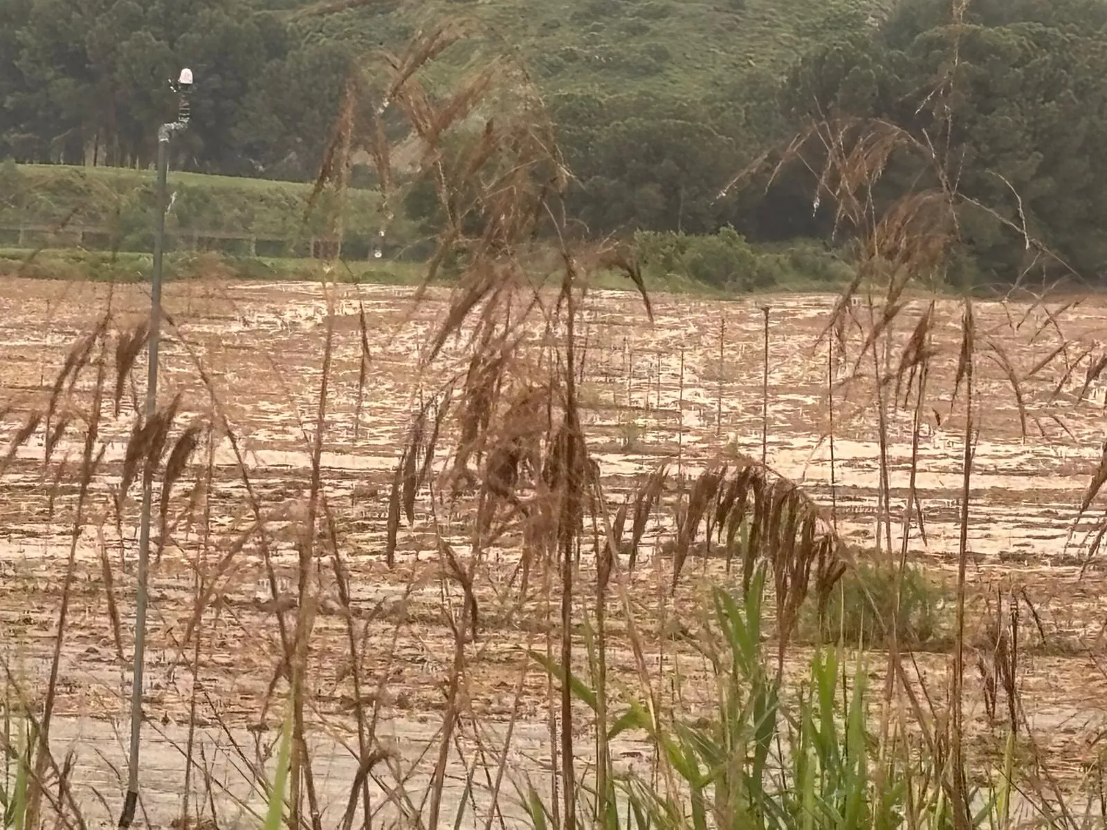 Consecuencias de las fuertes tormentas en la provincia.