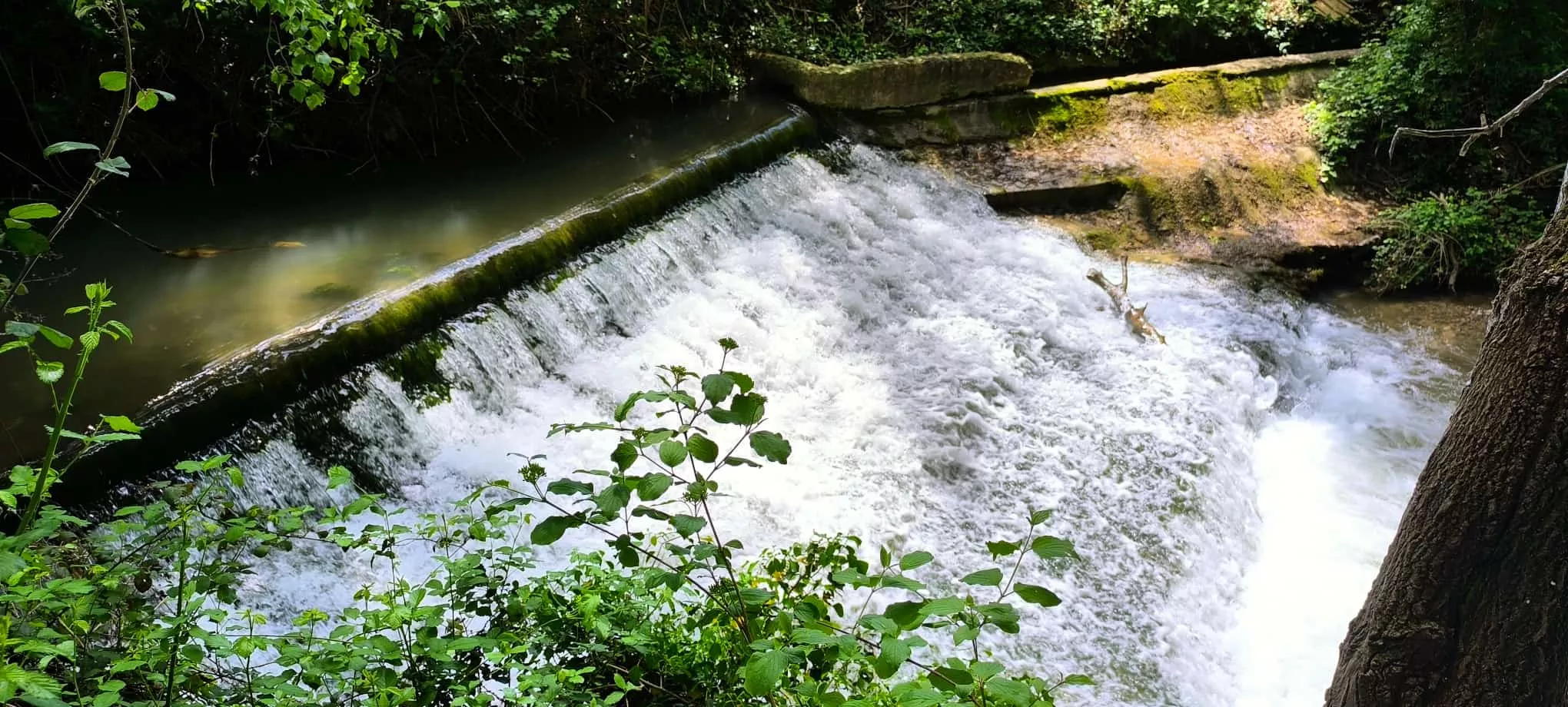 Río Isuela tras el episodio de intensas lluvias en Huesca. Foto Joaquín Santafé