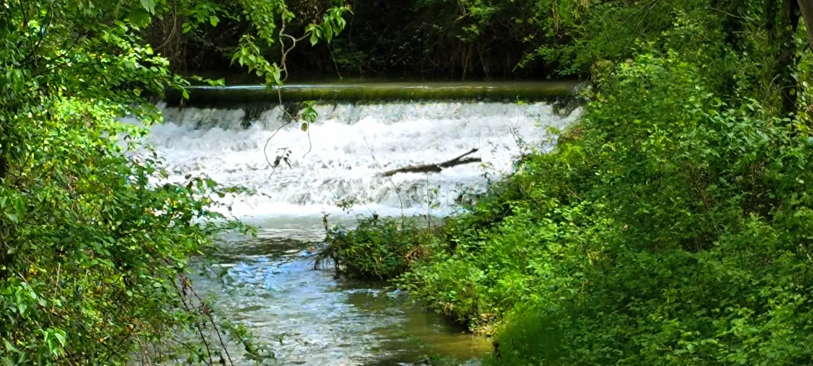 Río Isuela tras el episodio de intensas lluvias en Huesca. Foto Joaquín Santafé