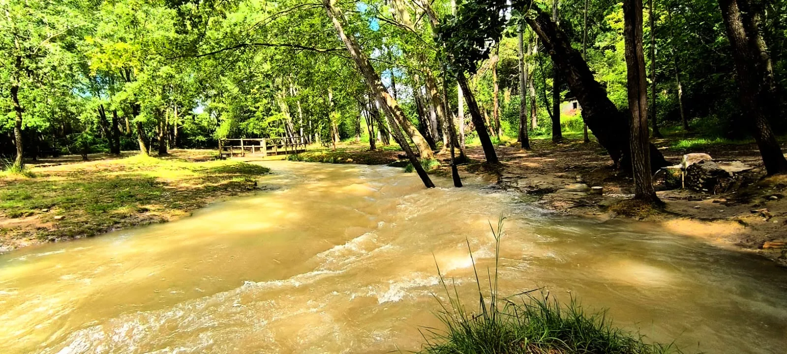Imagen del río Isuela tras las intensas lluvias de este fin de semana.